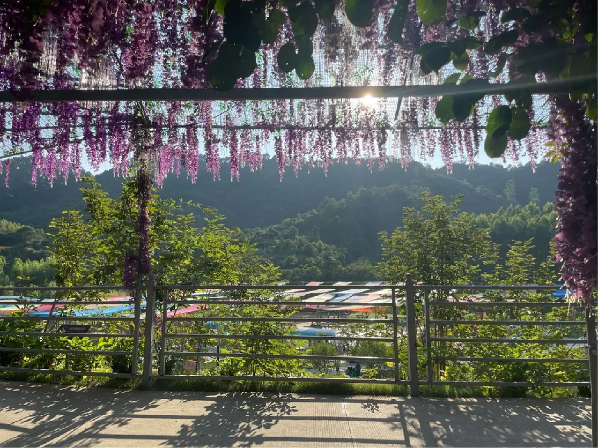 大庙江生态旅游景区旅行图片 1