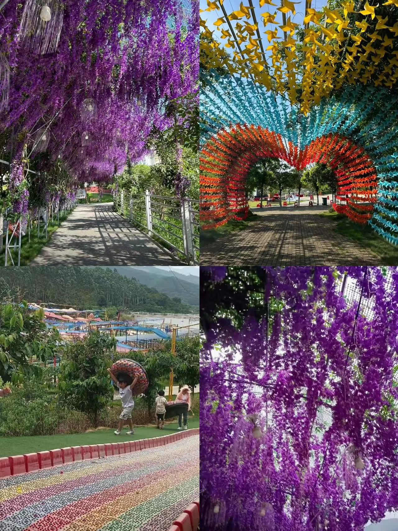大庙江生态旅游景区旅行图片 2