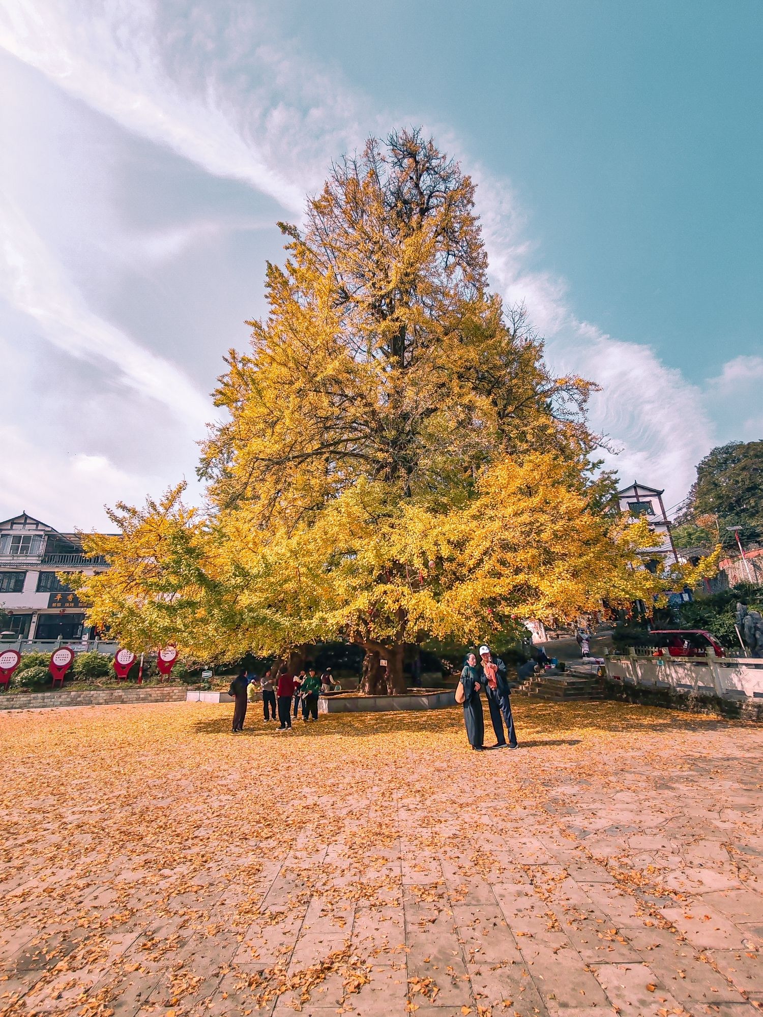 金叶大木美丽乡村旅游区旅行图片 1