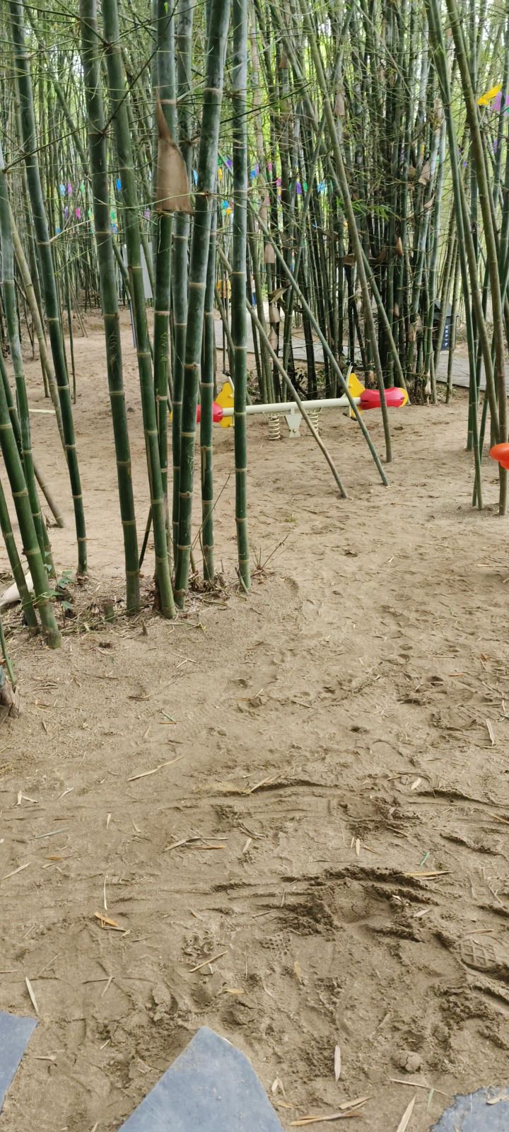 励志碧道公园旅行图片 1