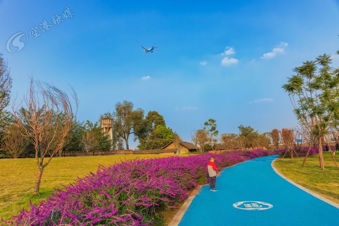 空港体育公园旅行图片 3