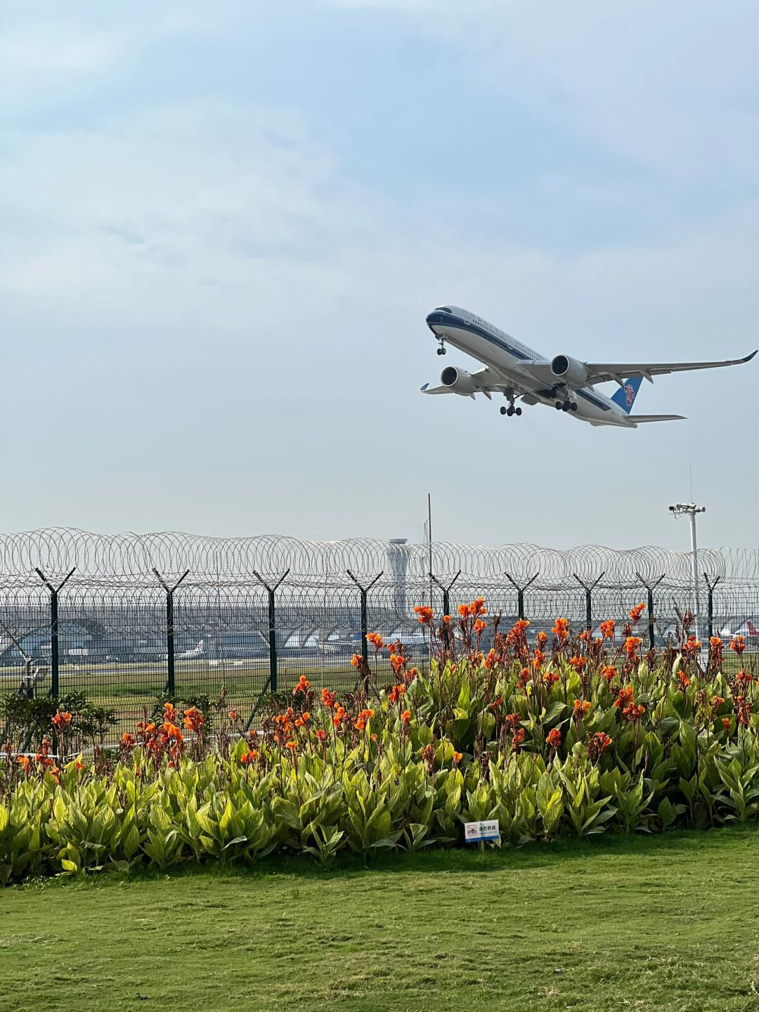 空港体育公园旅行图片 1