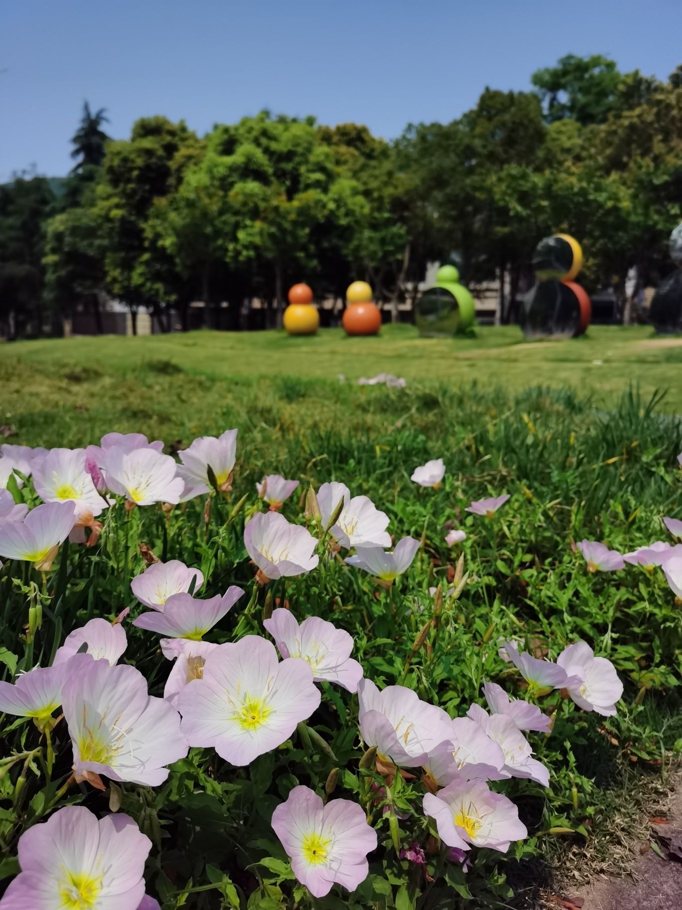 南山生态文化公园B区旅行图片 1