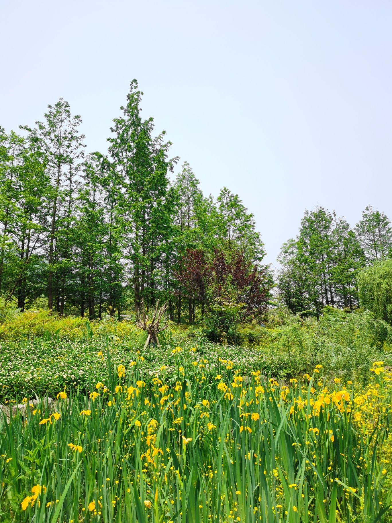 南山生态文化公园B区旅行图片 2