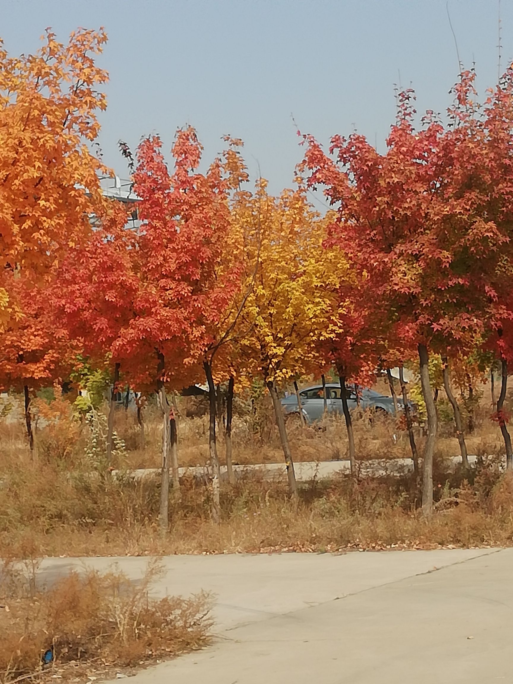 赵家沟旅行图片 1