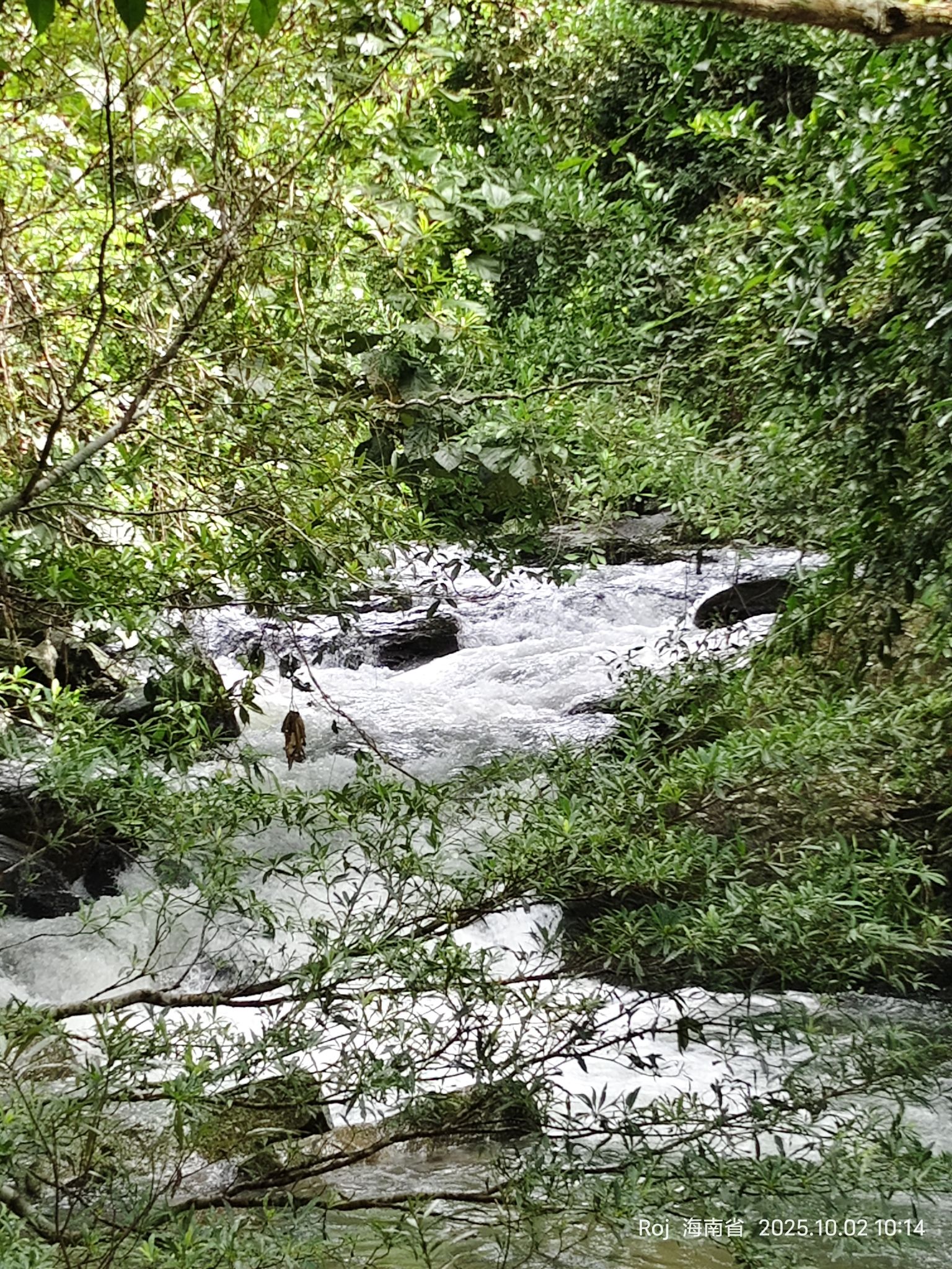 天涯驿站(罗帅雨林山庄)