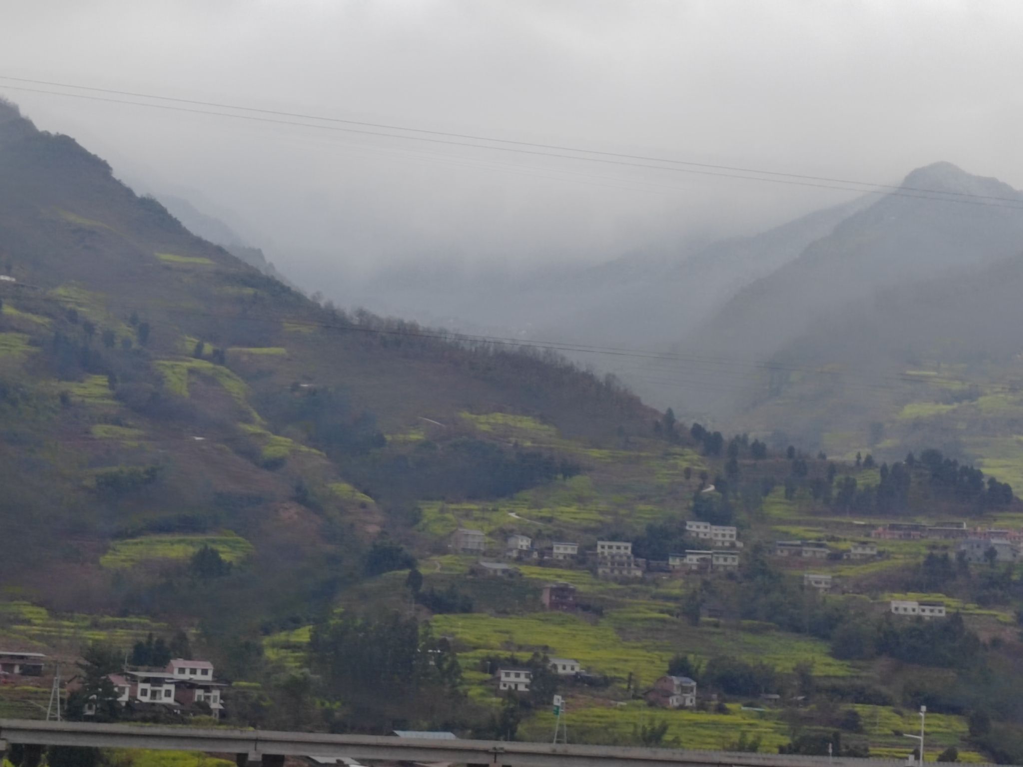 中都秘境油菜花观景台旅行图片 1
