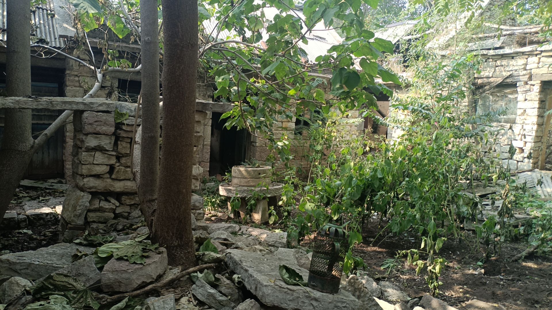孙阁老故居旅行图片 1