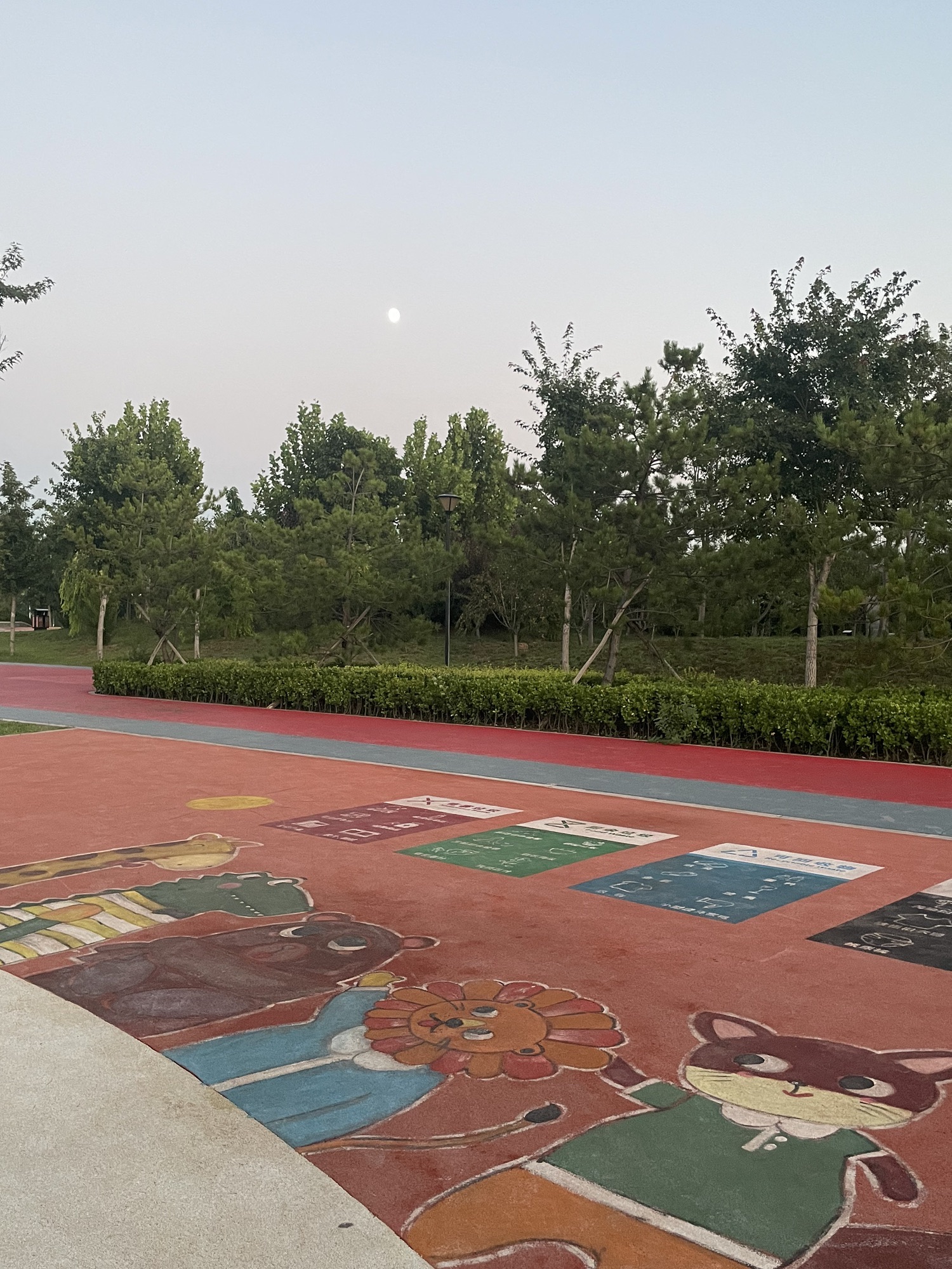 运动公园旅行图片 3