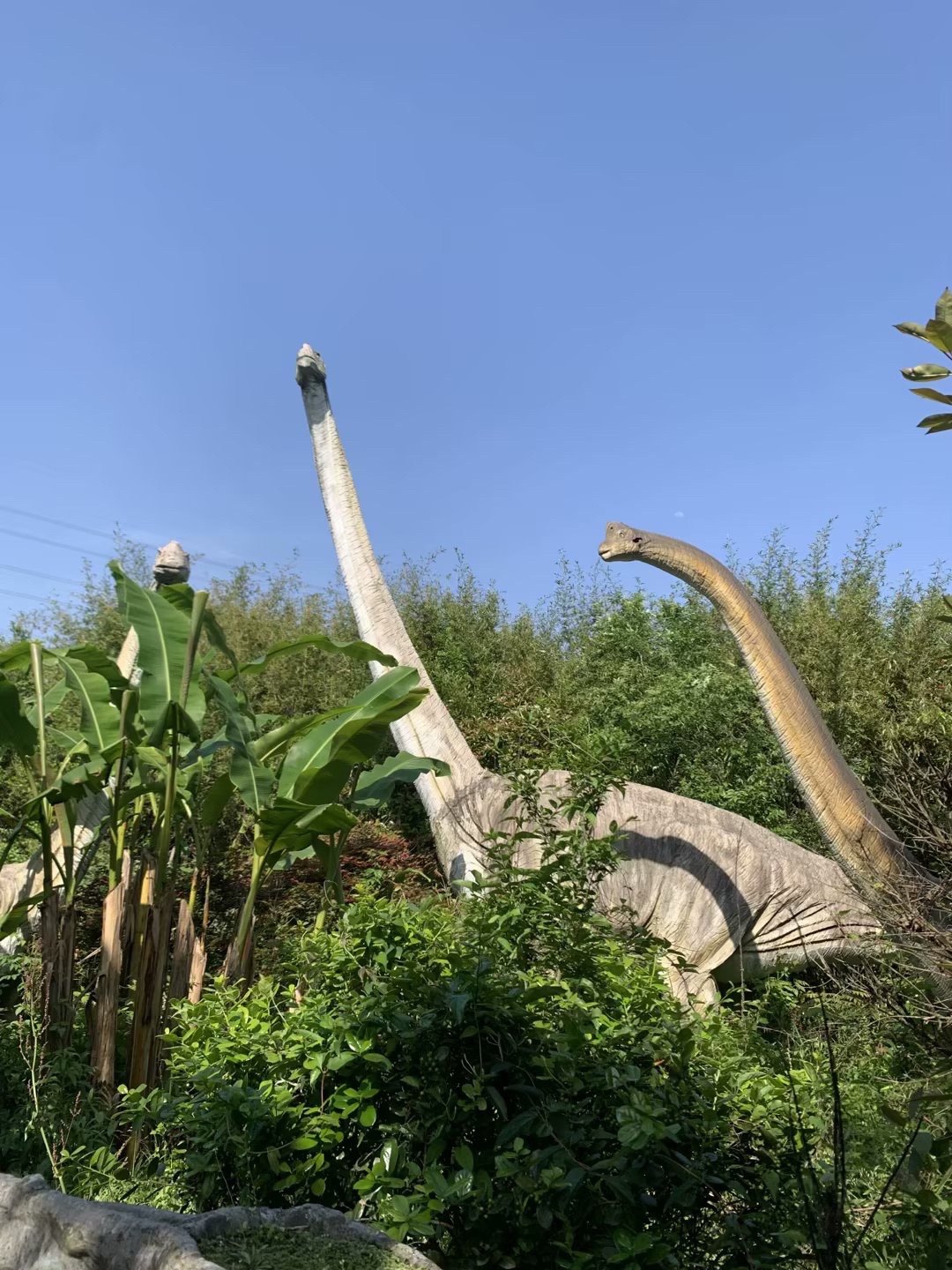 义乌萌宠乐园旅行图片 3