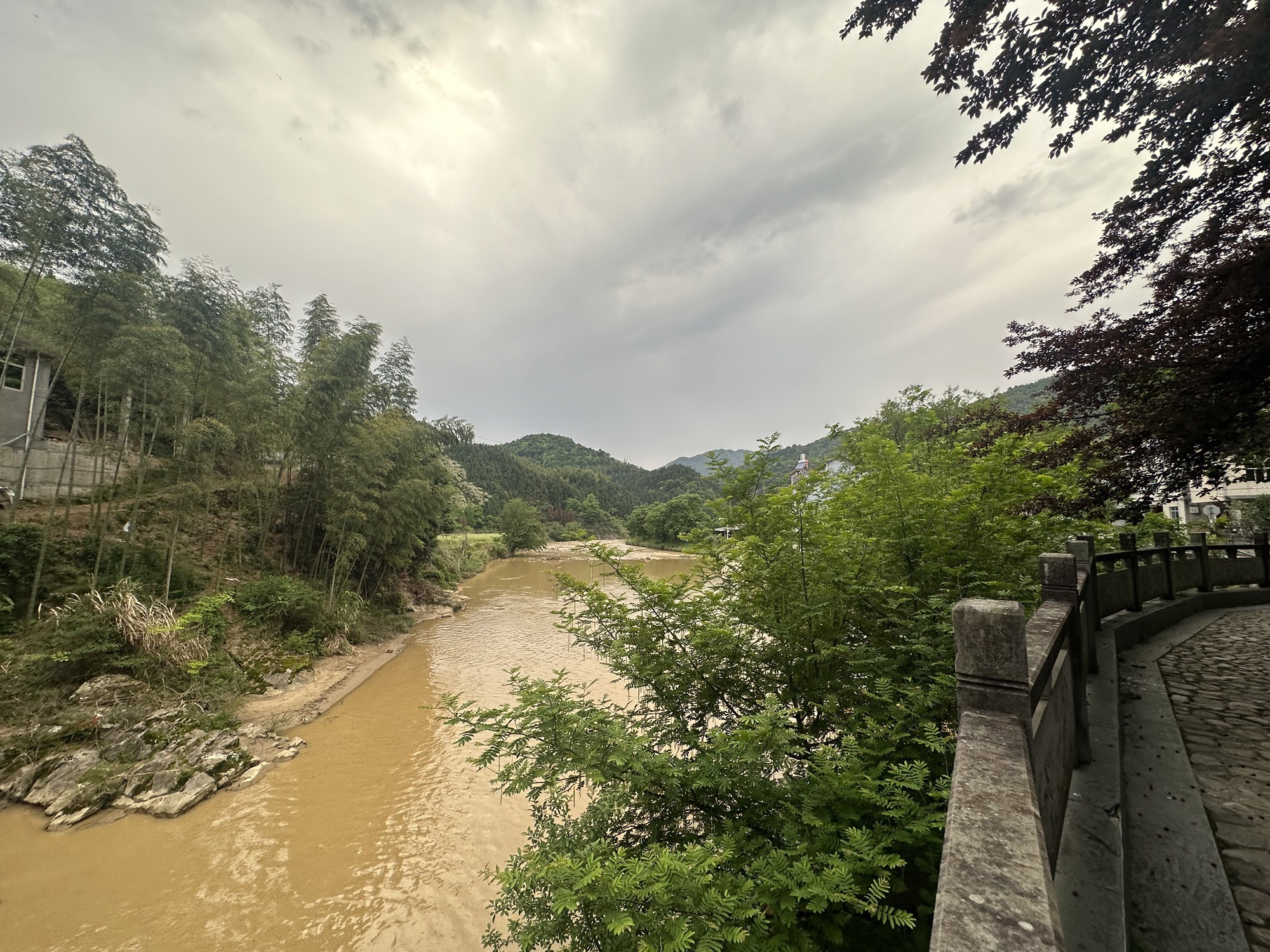枫岭关旅行图片 2
