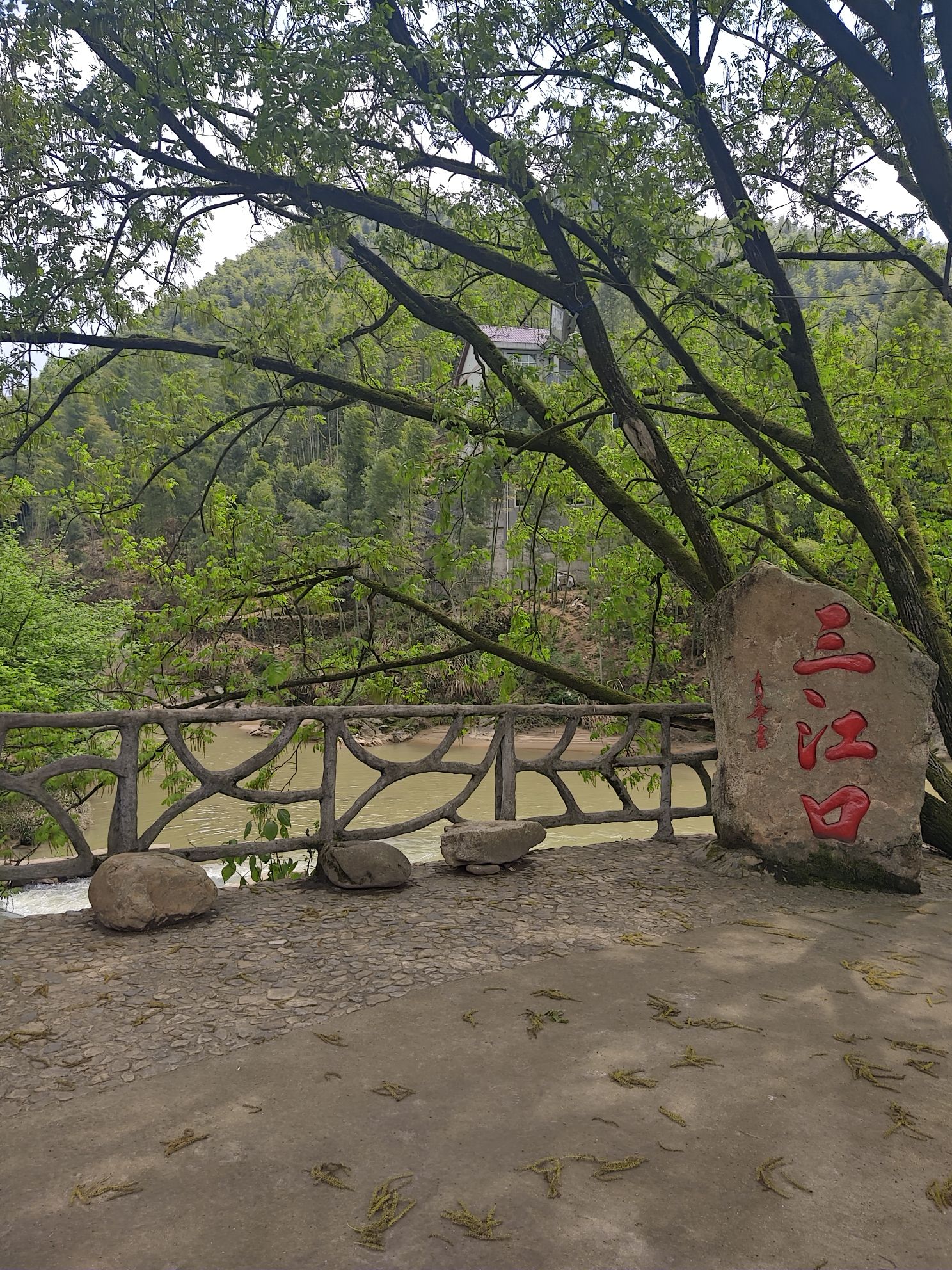 枫岭关旅行图片 1