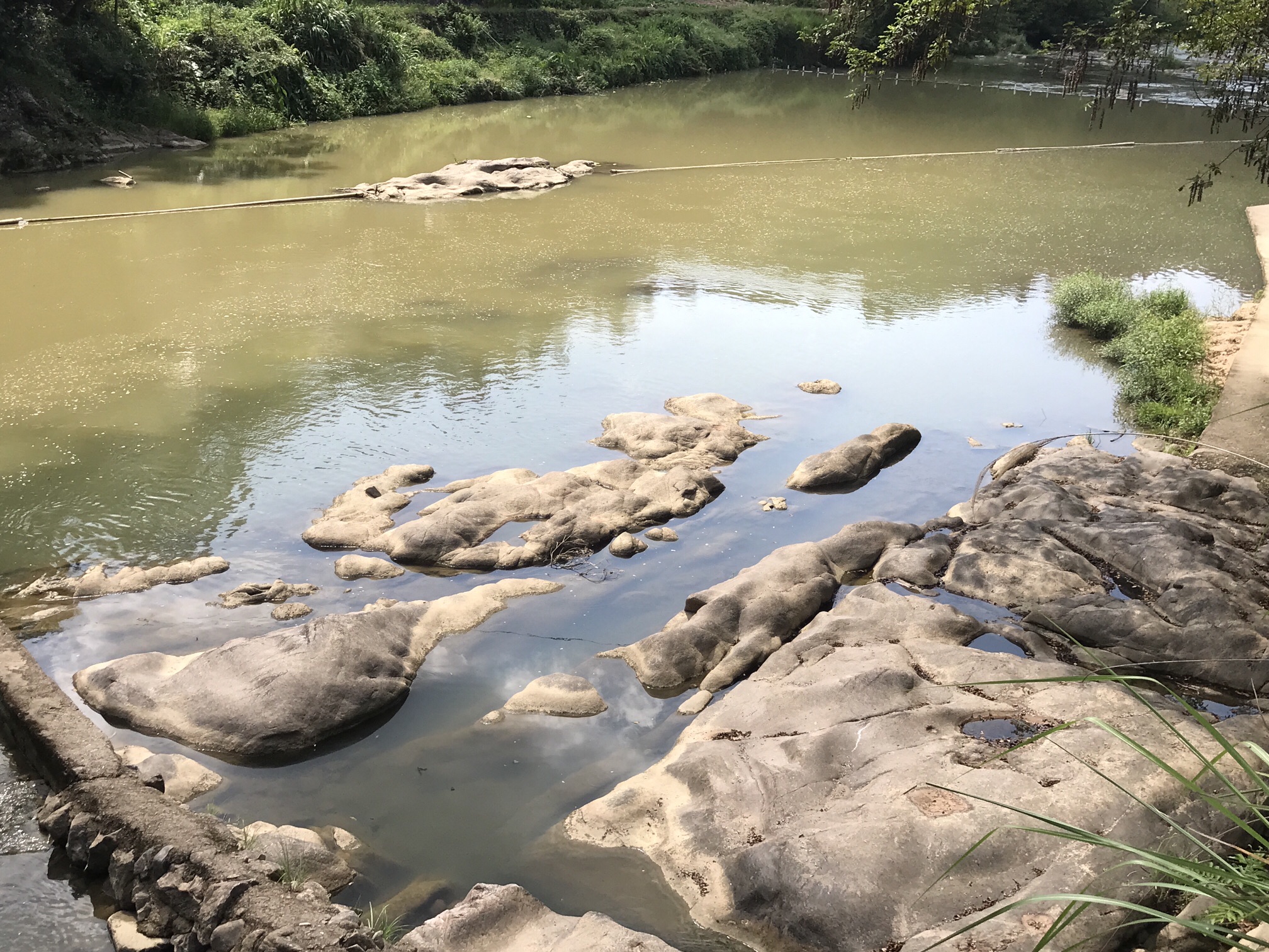 枫岭关旅行图片 1