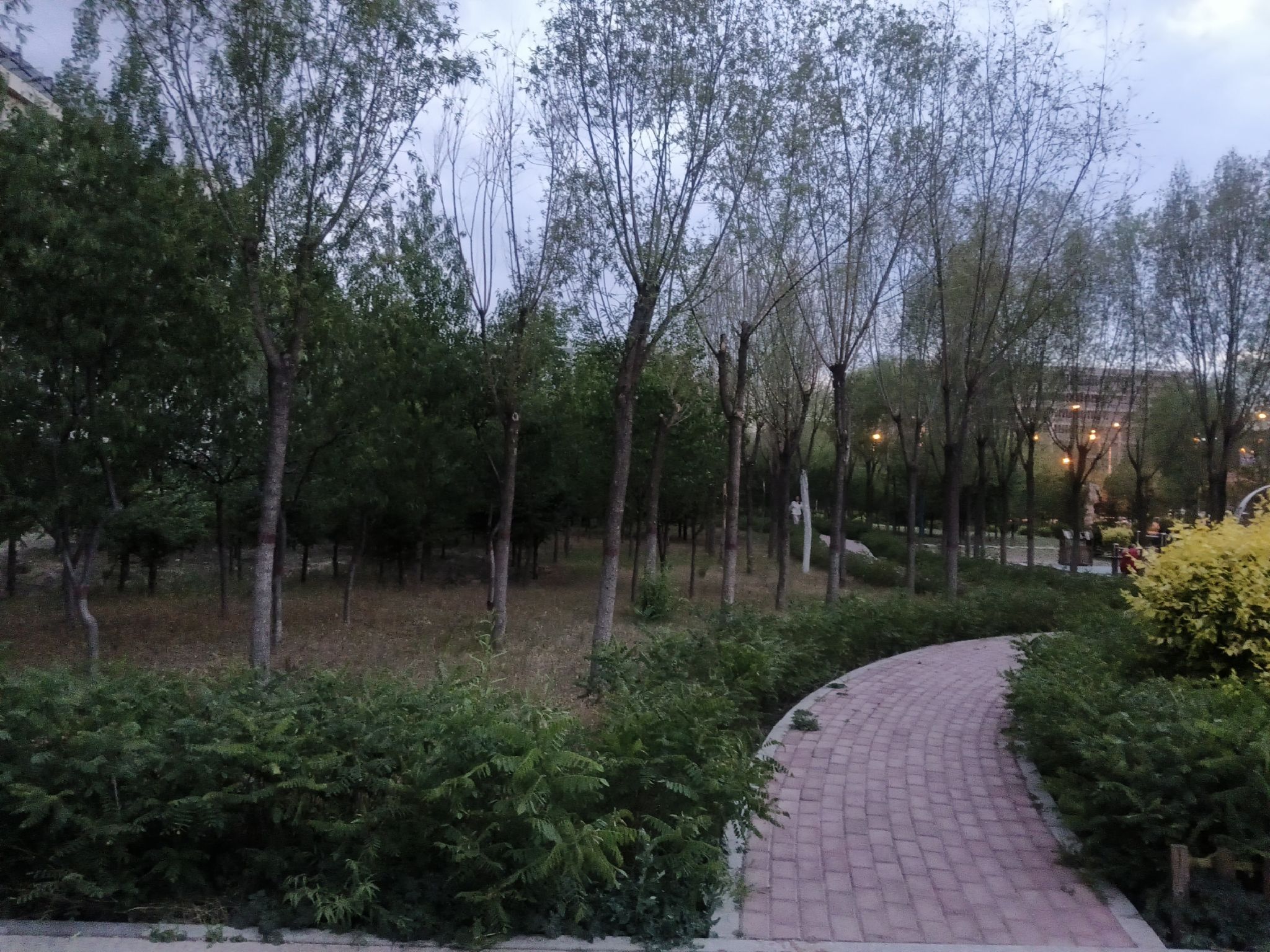 科尔沁体育公园旅行图片 1