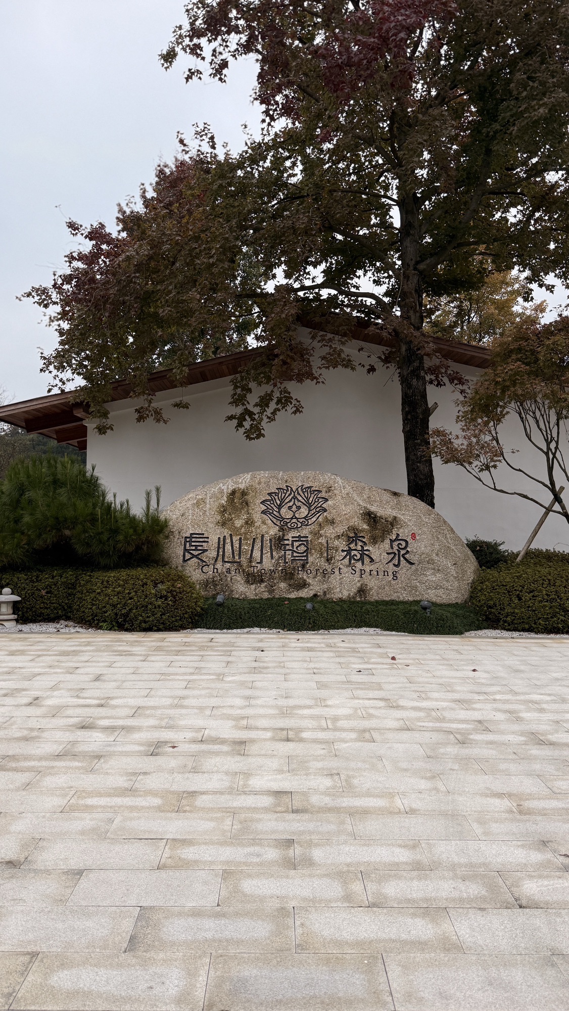 龙南虔心小镇旅行图片 2