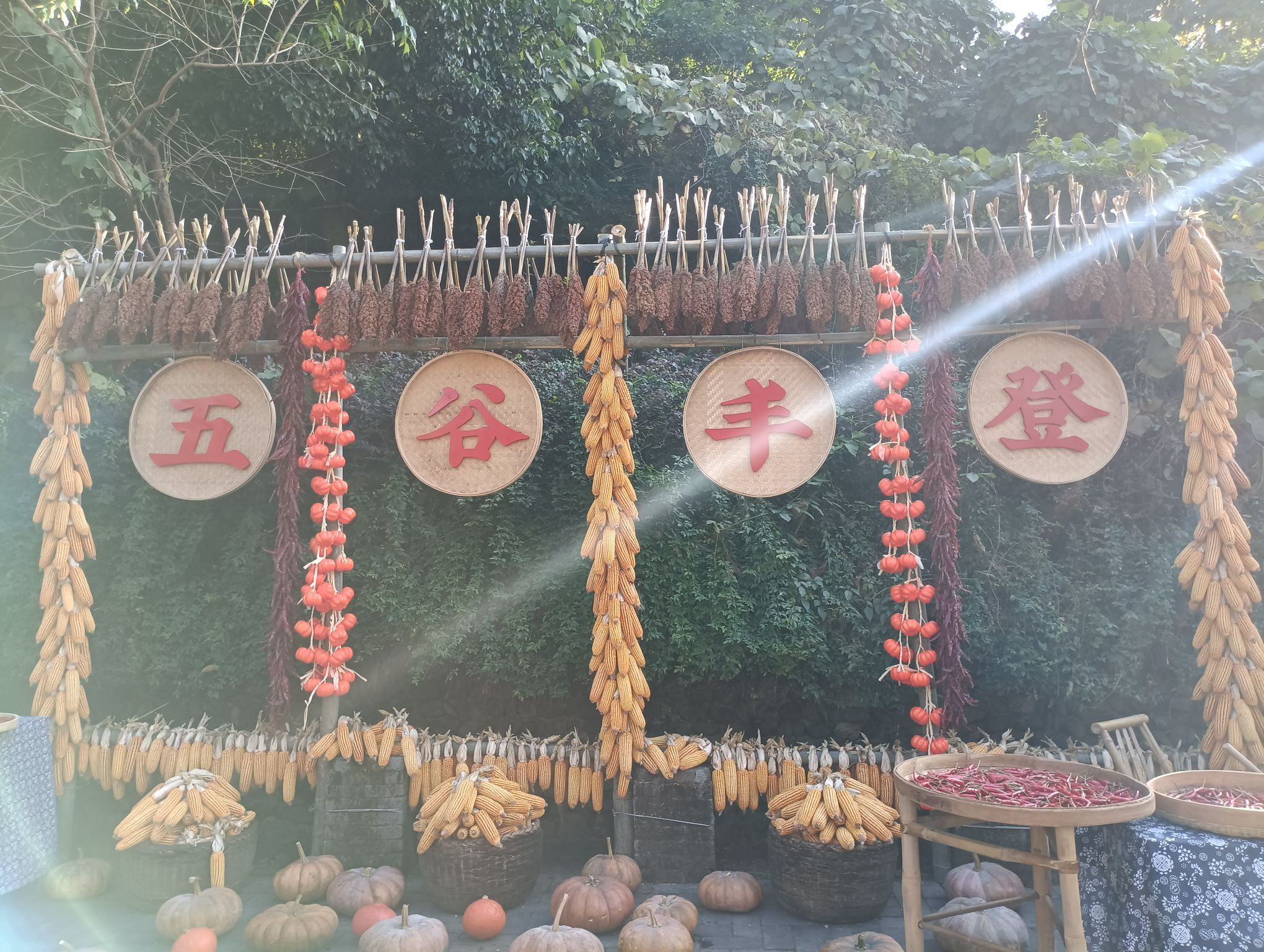 龙南虔心小镇旅行图片 3