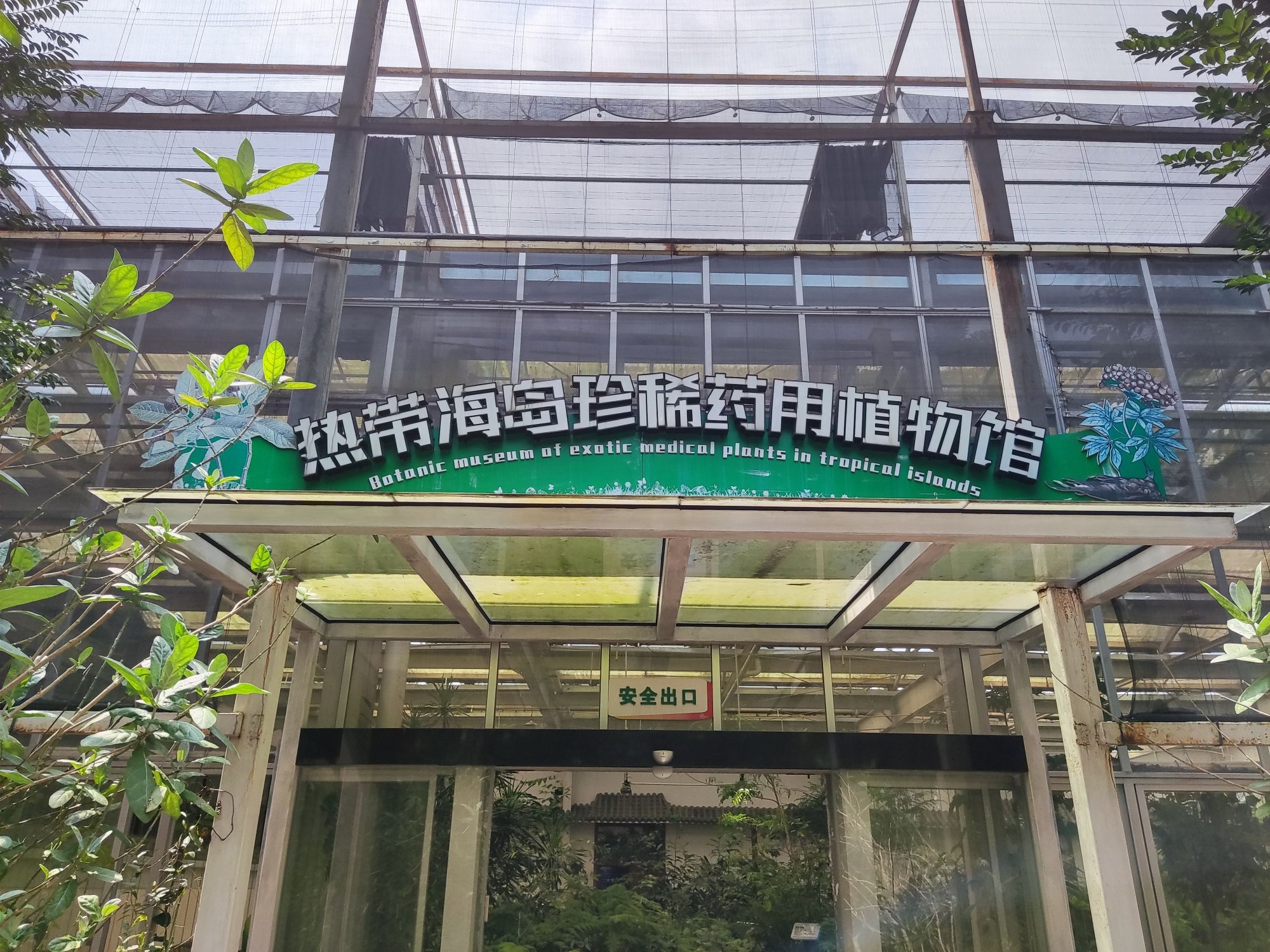 热带珍稀植物园旅行图片 1