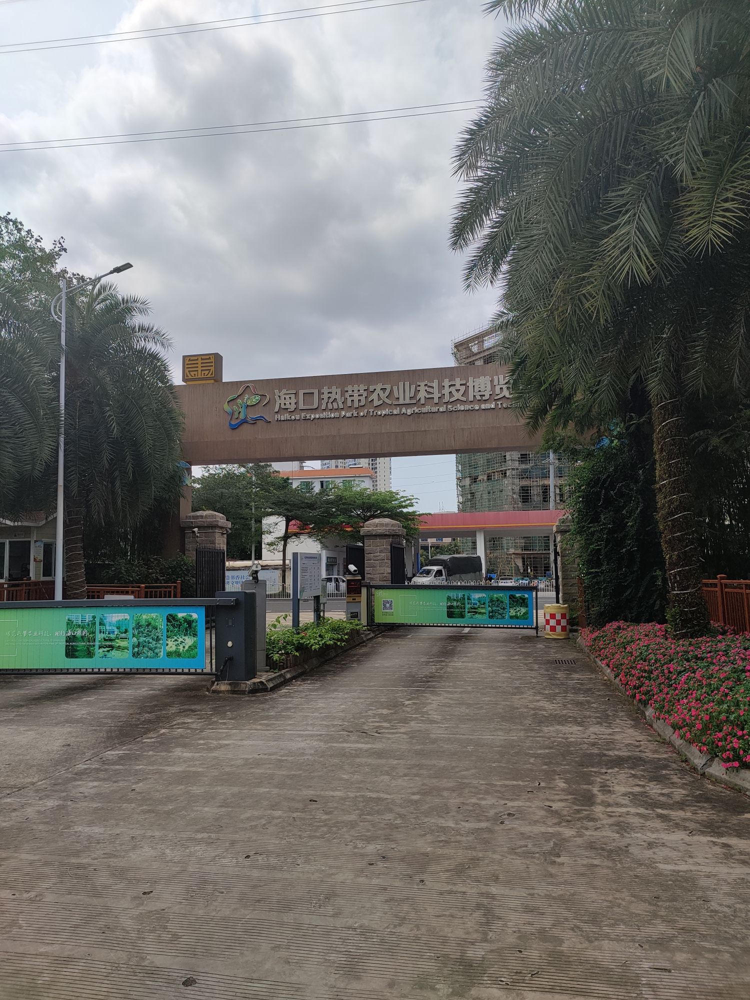 热带珍稀植物园旅行图片 2
