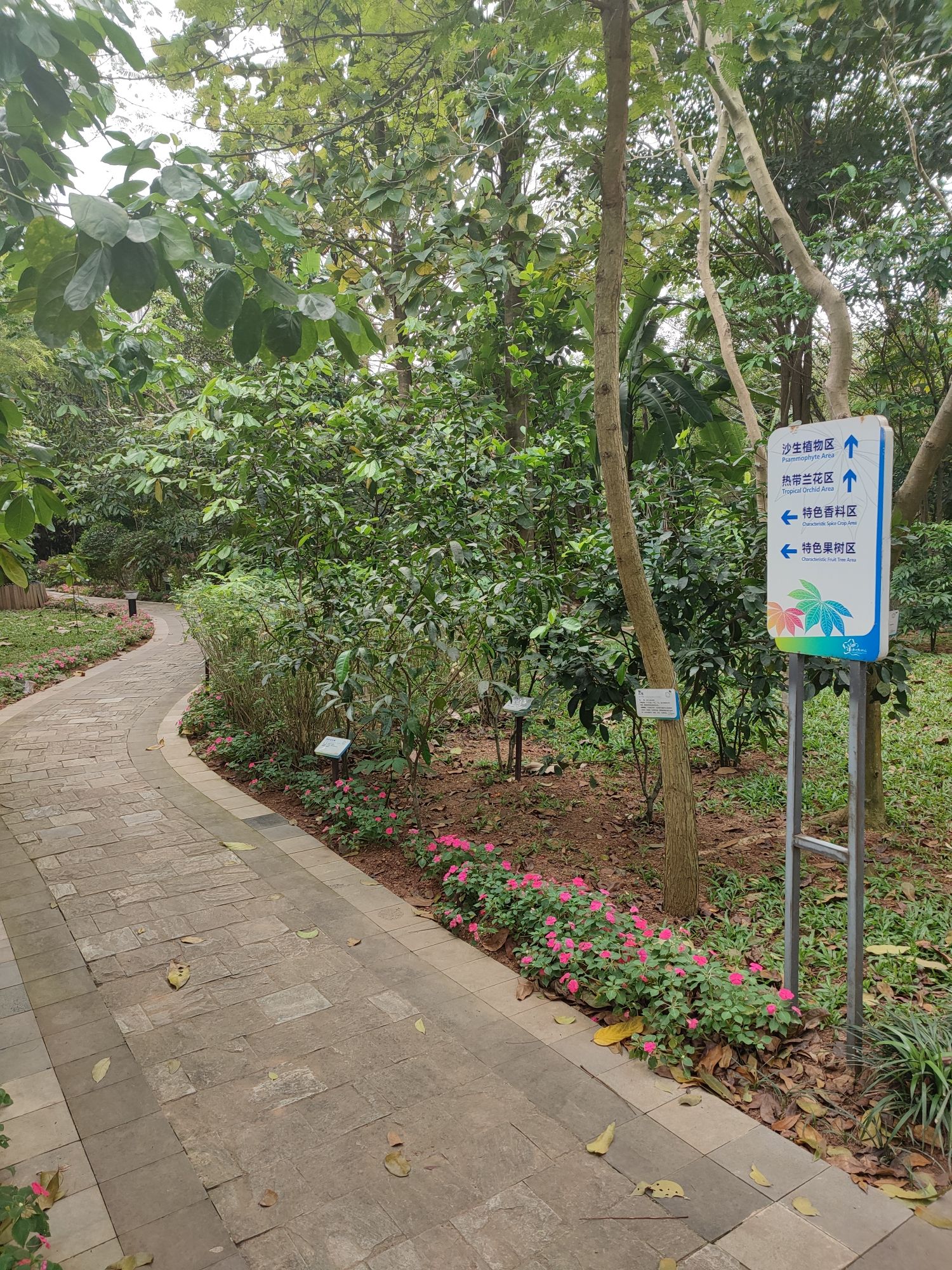 热带珍稀植物园旅行图片 3