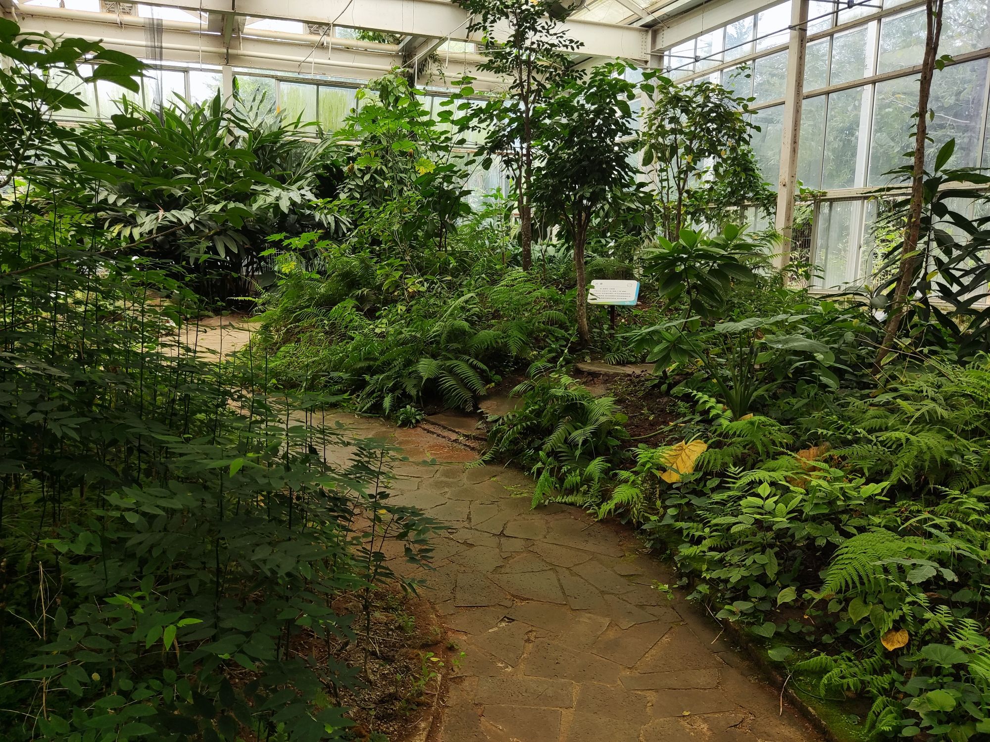 热带珍稀植物园旅行图片 2