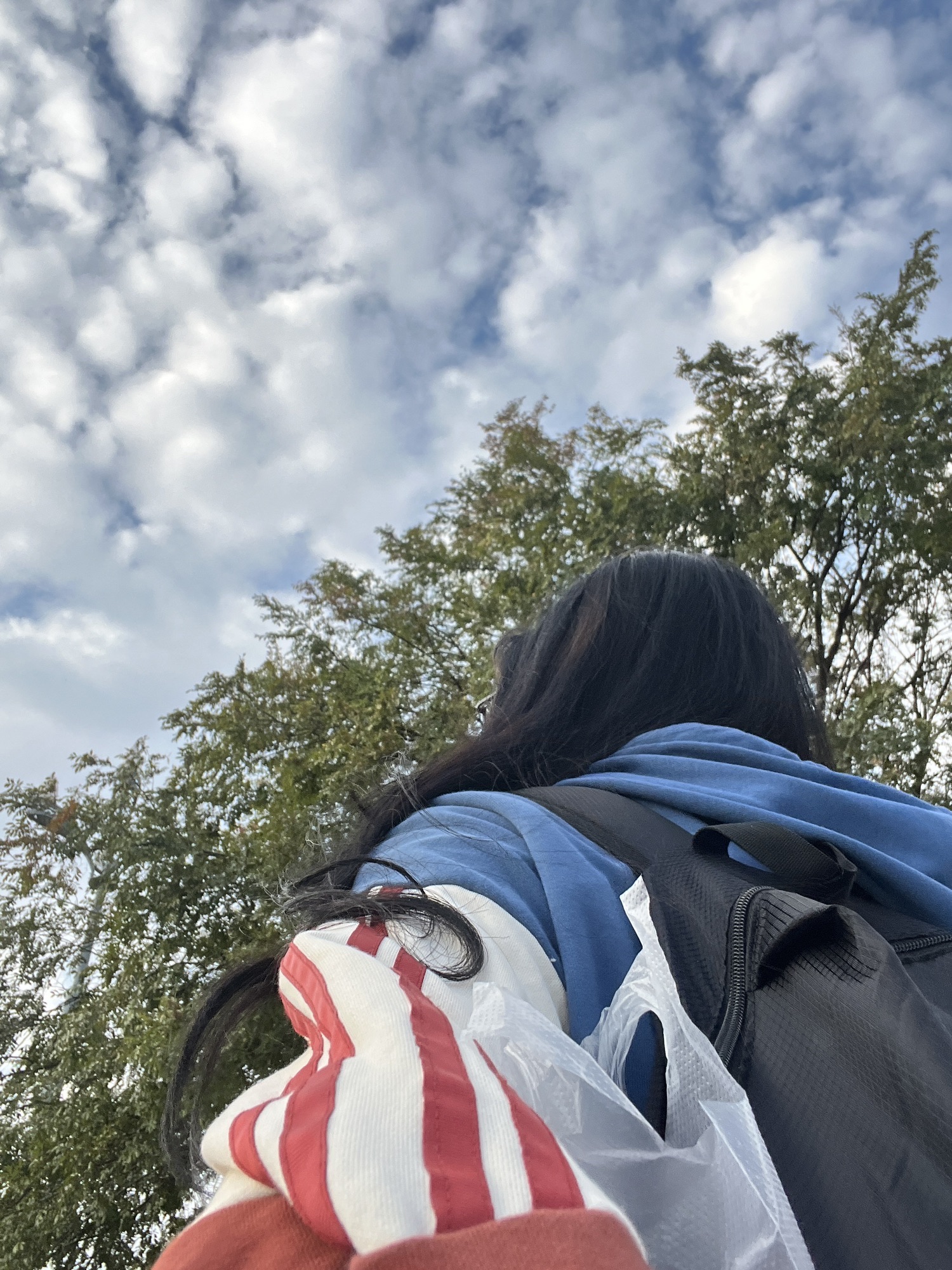江边公园旅行图片 2