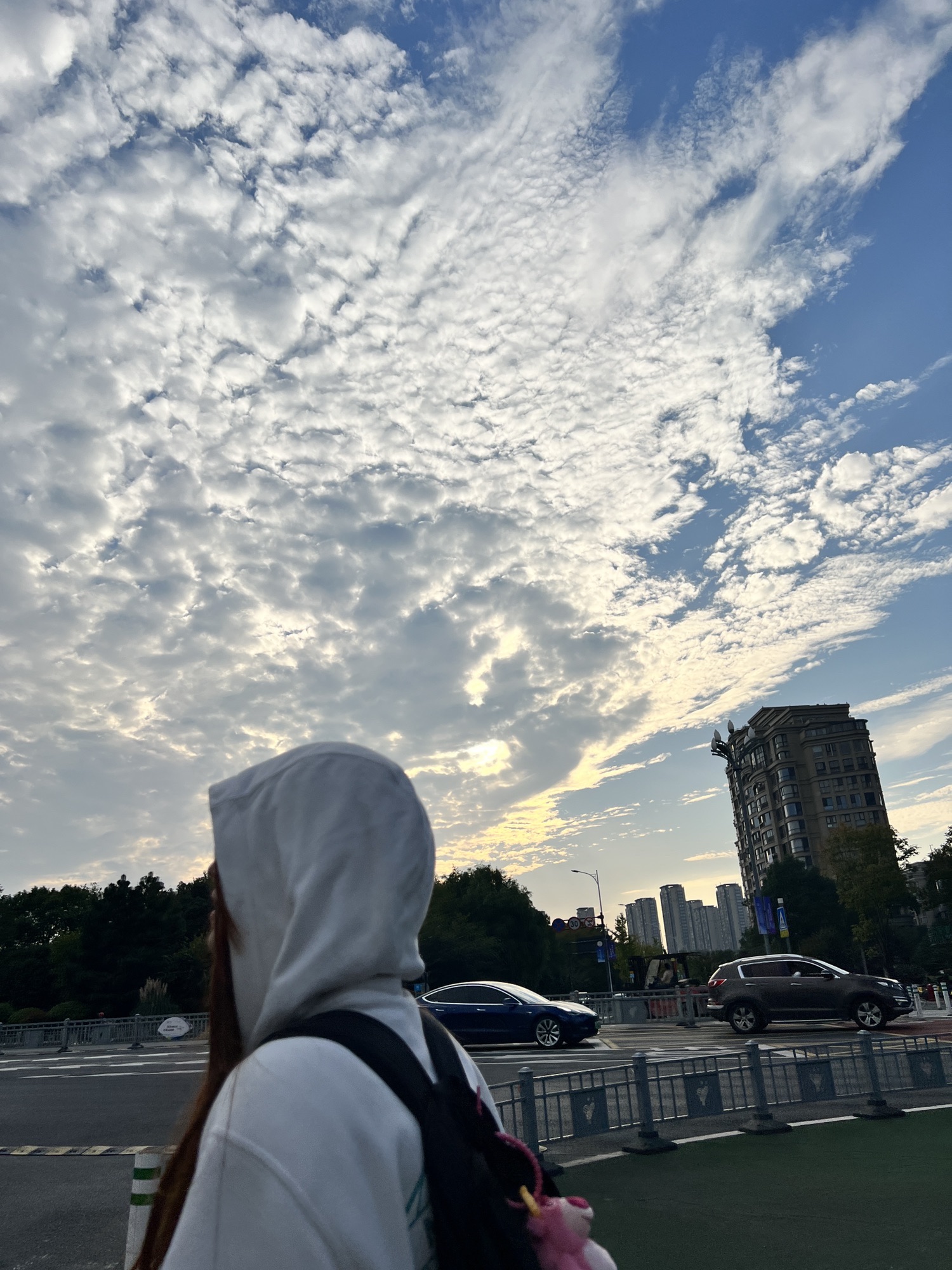 江边公园旅行图片 1