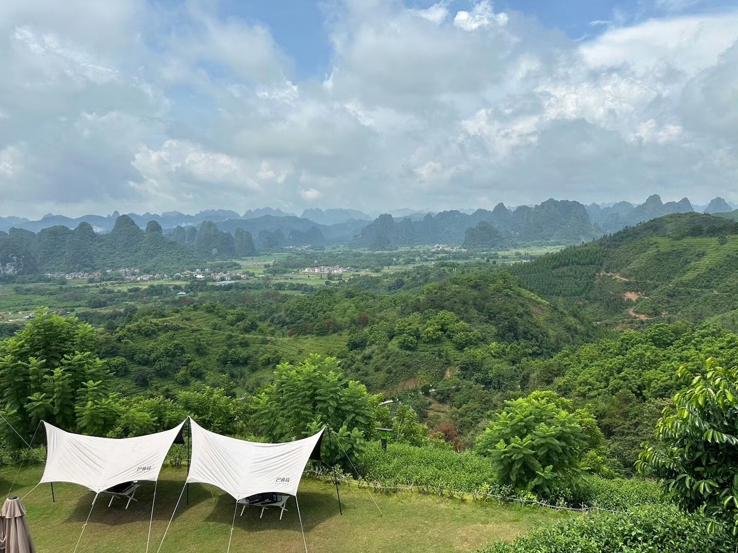 德高信T三有机茶园旅行图片 3