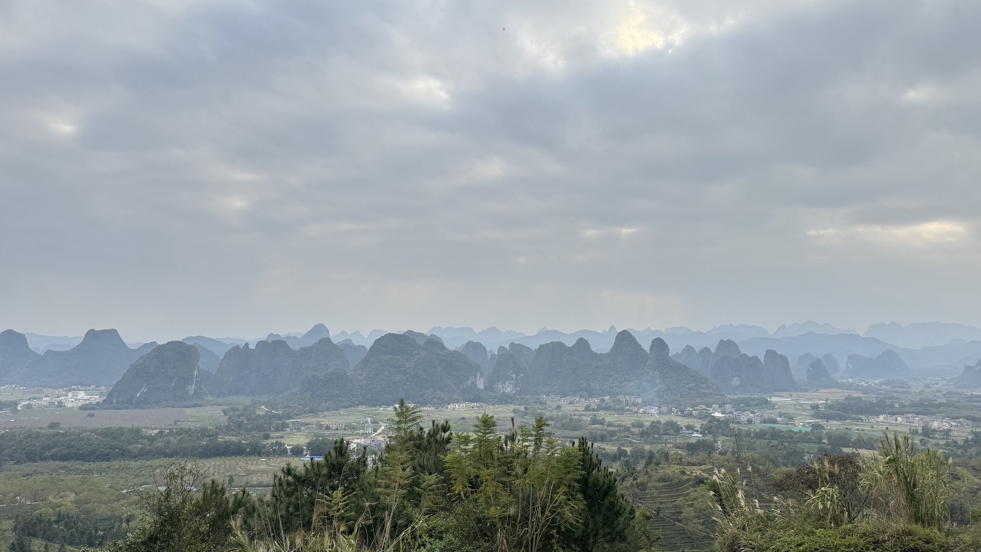 德高信T三有机茶园旅行图片 2