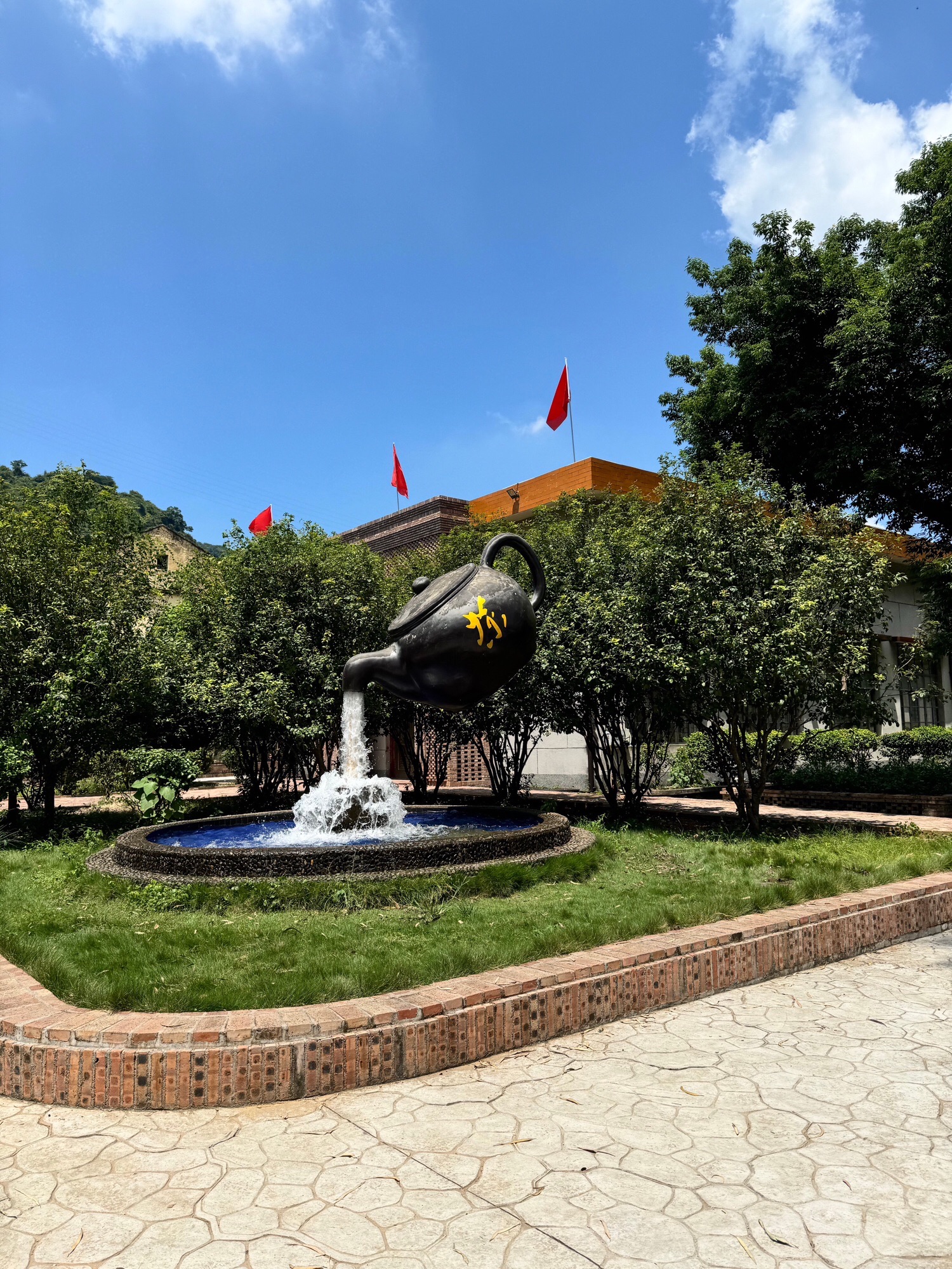 德高信T三有机茶园旅行图片 1