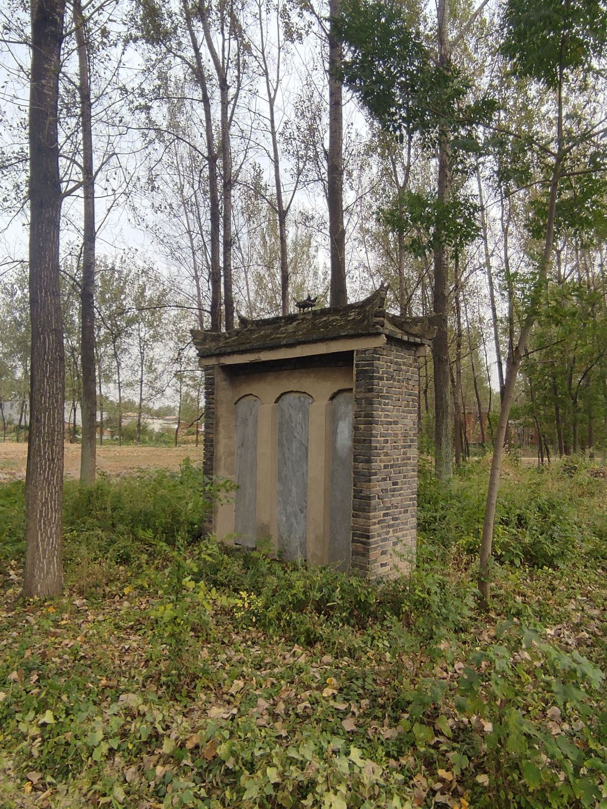 澺水堂韩氏祖茔碑林旅行图片 2