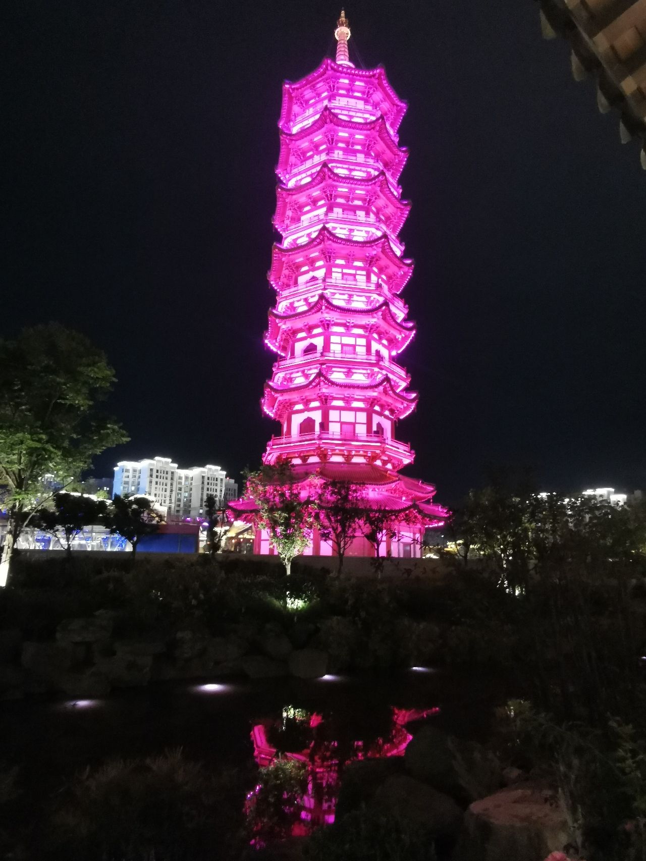 唐园旅行图片 2