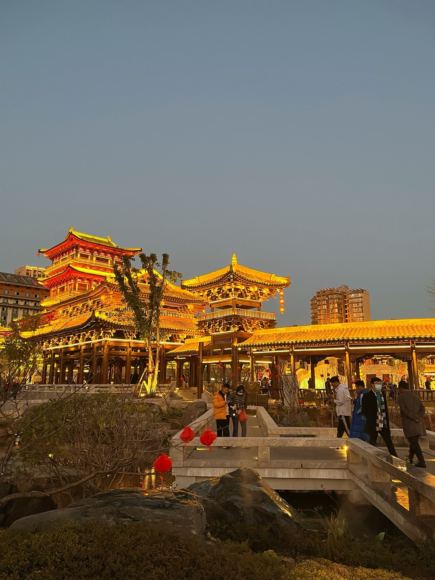 唐园旅行图片 2