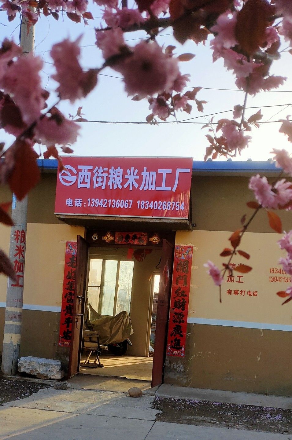 北营子村文化广场旅行图片