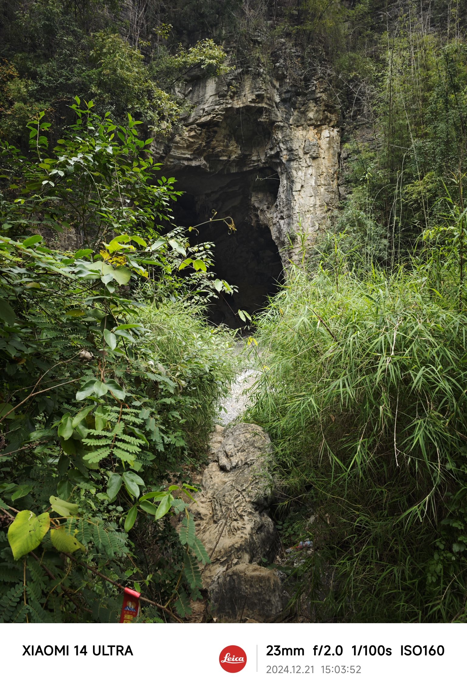 鹦哥峡观景台旅行图片 2