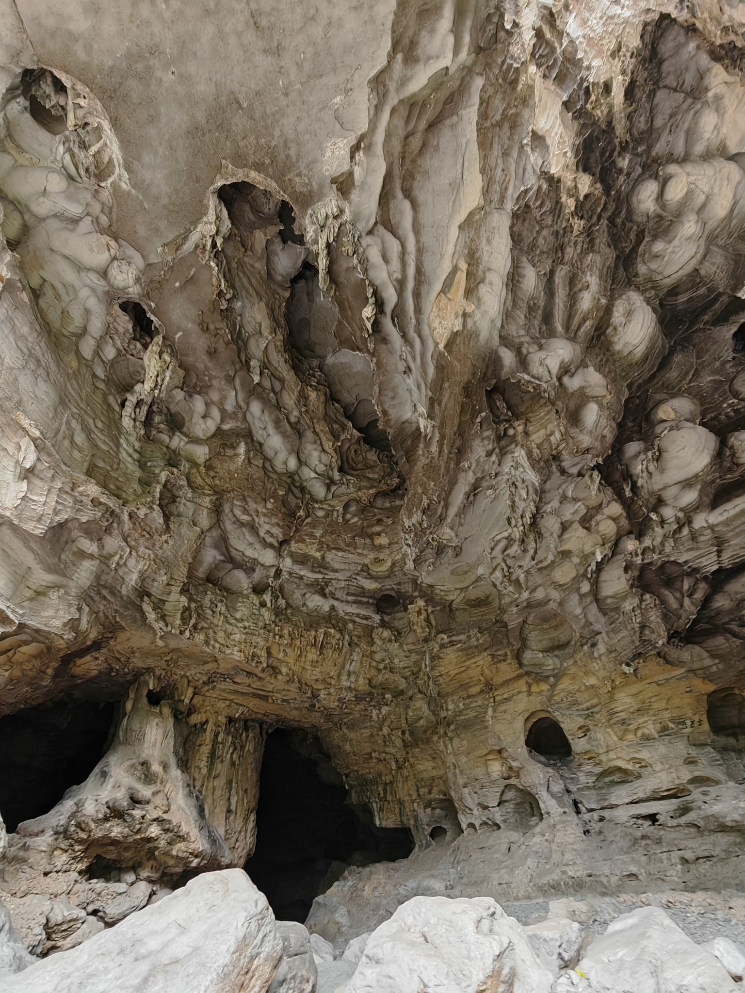 鹦哥峡观景台旅行图片 3