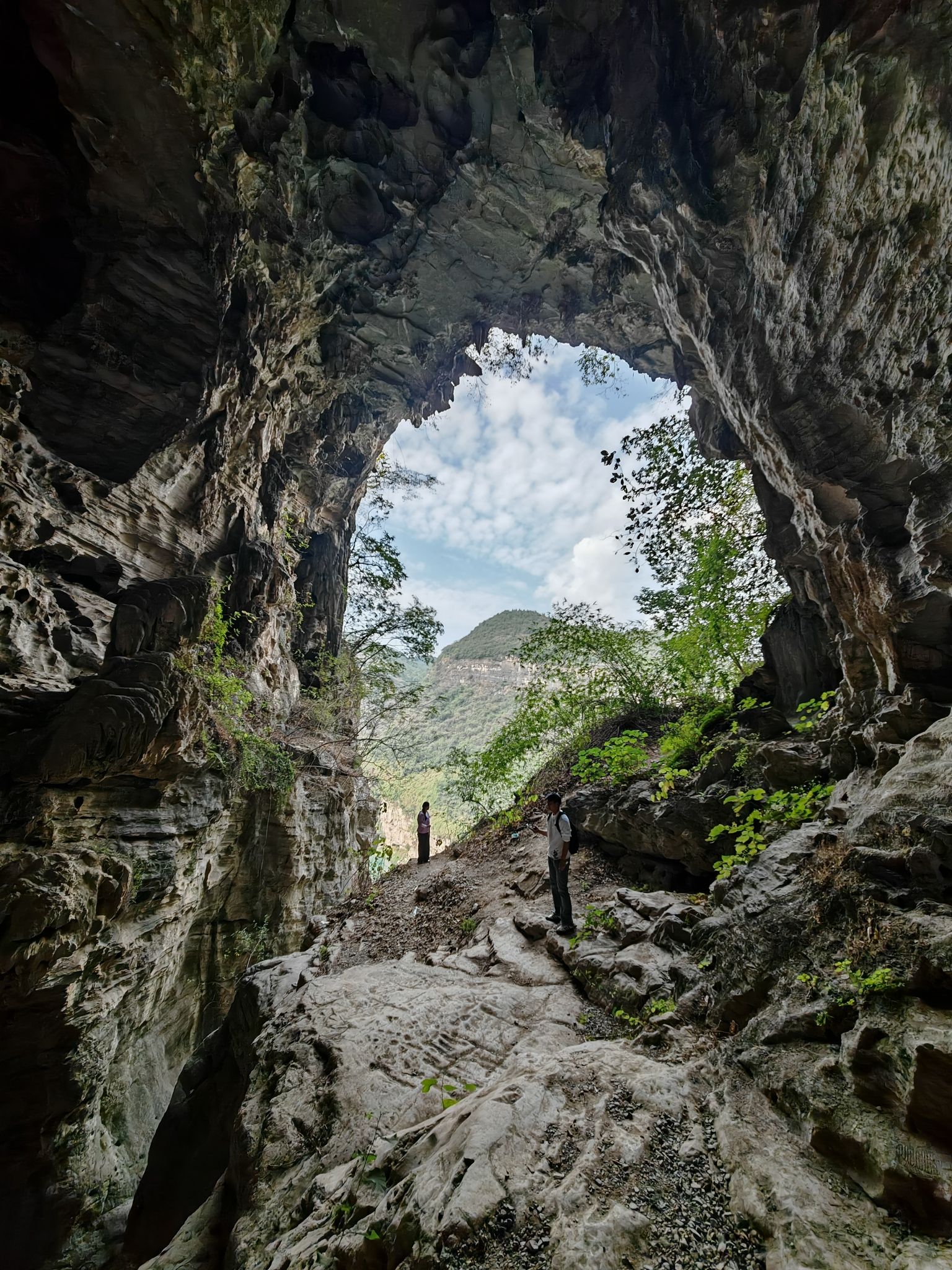 鹦哥峡观景台旅行图片 1