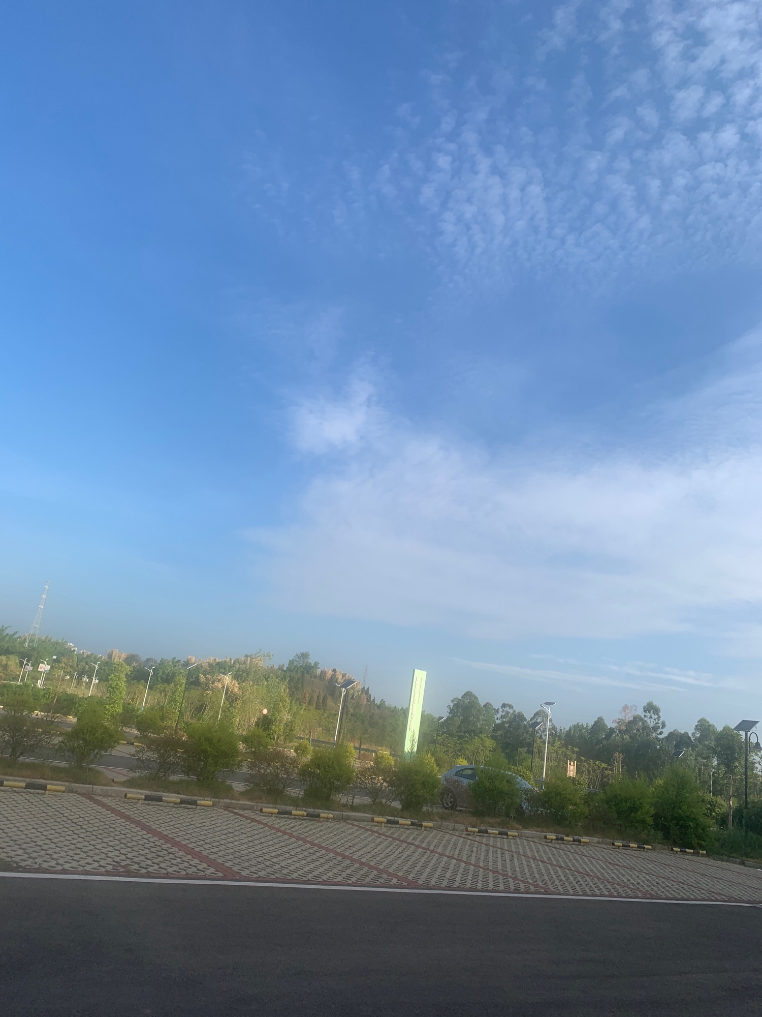 老虎山公园旅行图片 3