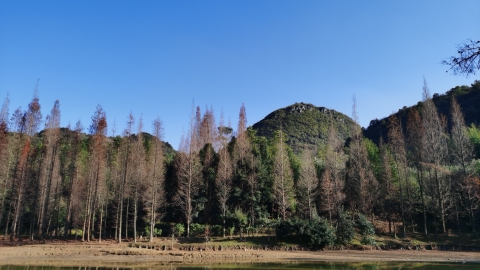 醉怡山庄旅行图片 1