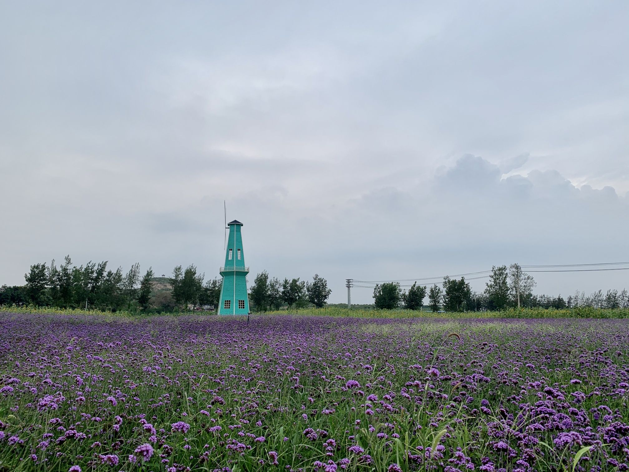 万花山森林公园旅行图片 2