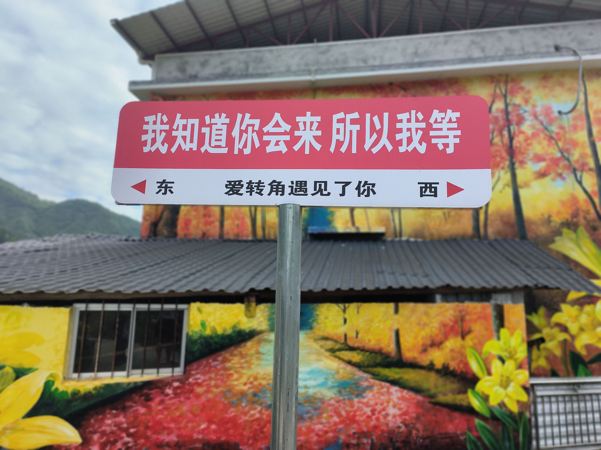 百合博览园旅行图片 3