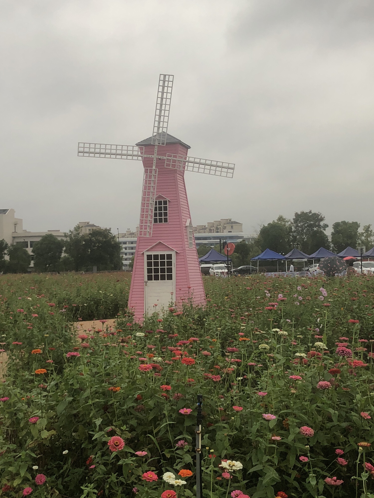 铜鉴湖公园旅行图片 1