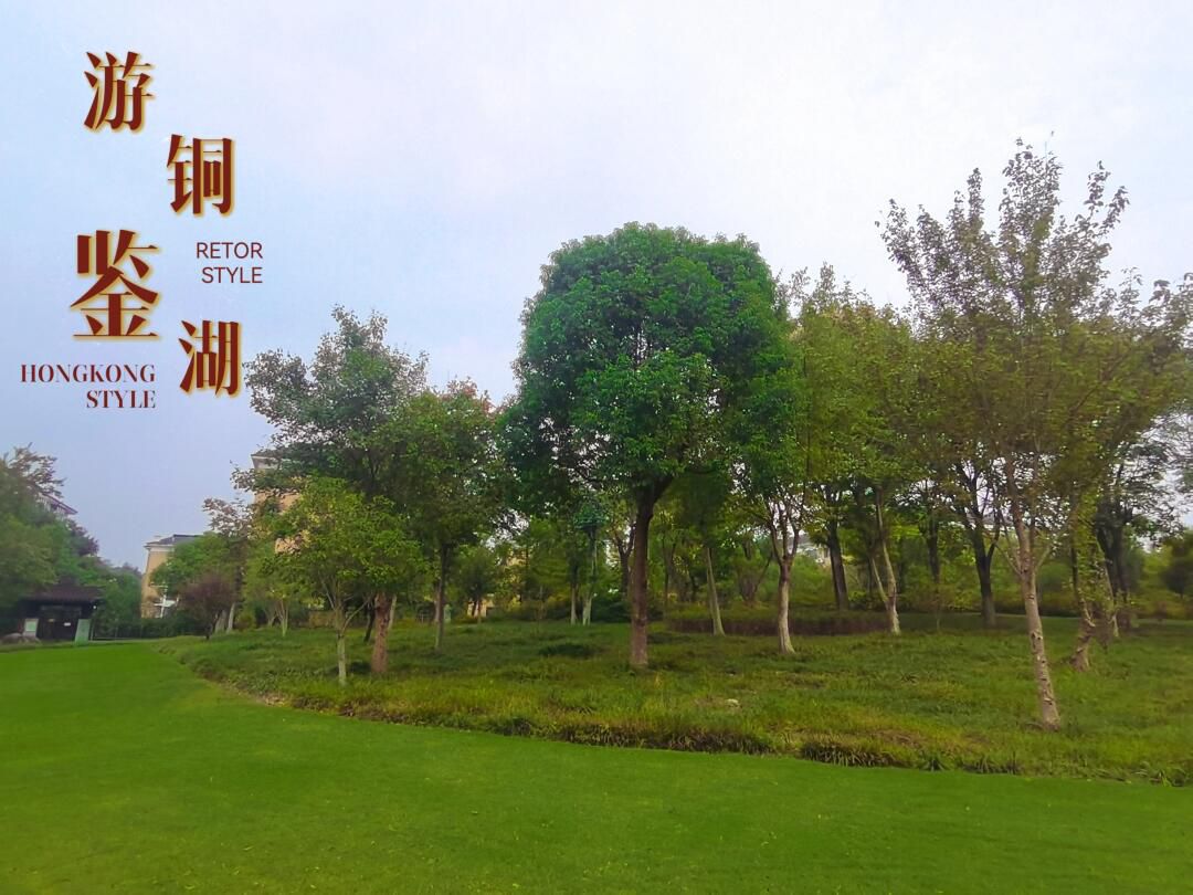 铜鉴湖公园旅行图片 2