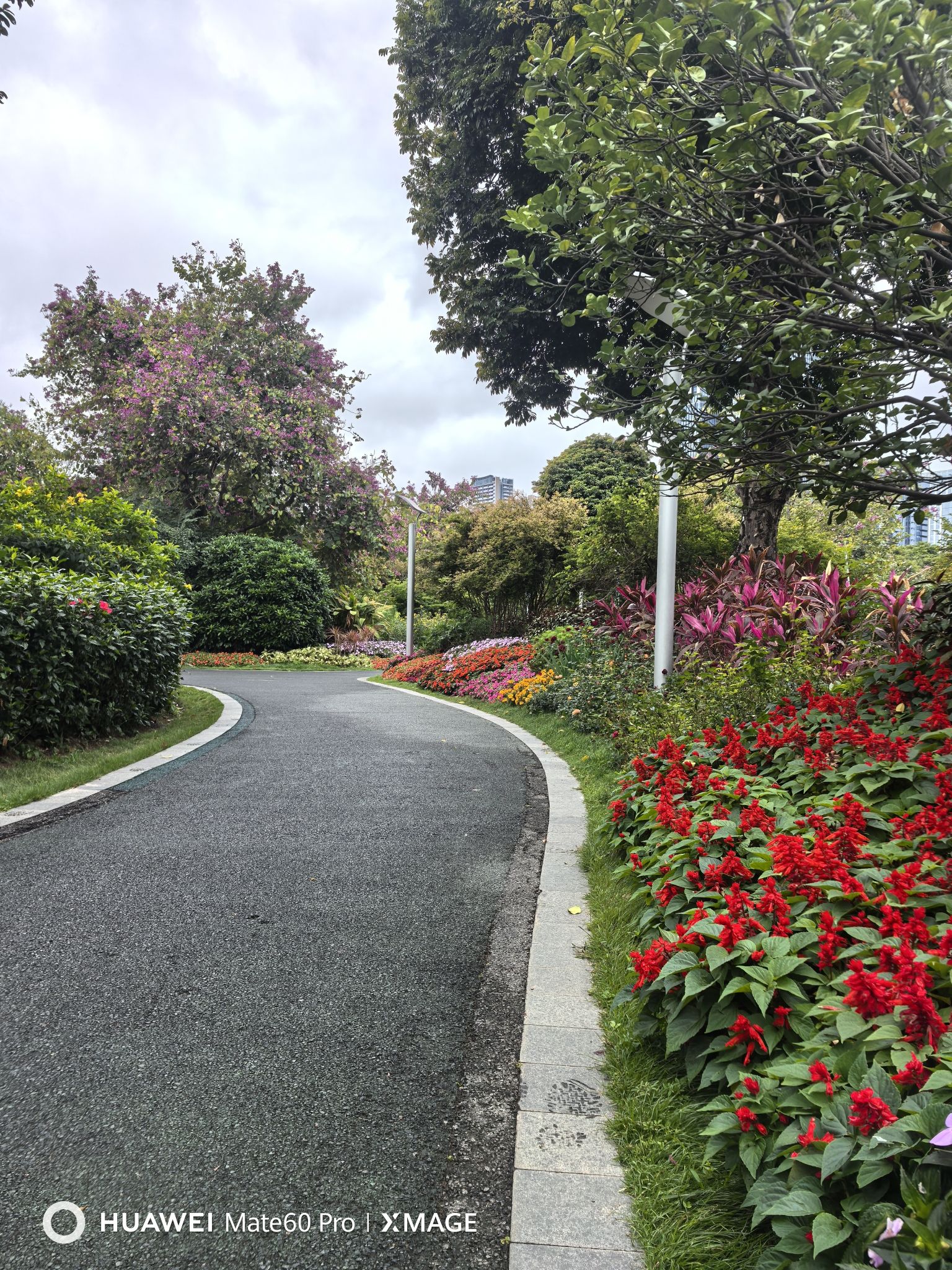 前海紫荆园旅行图片 3