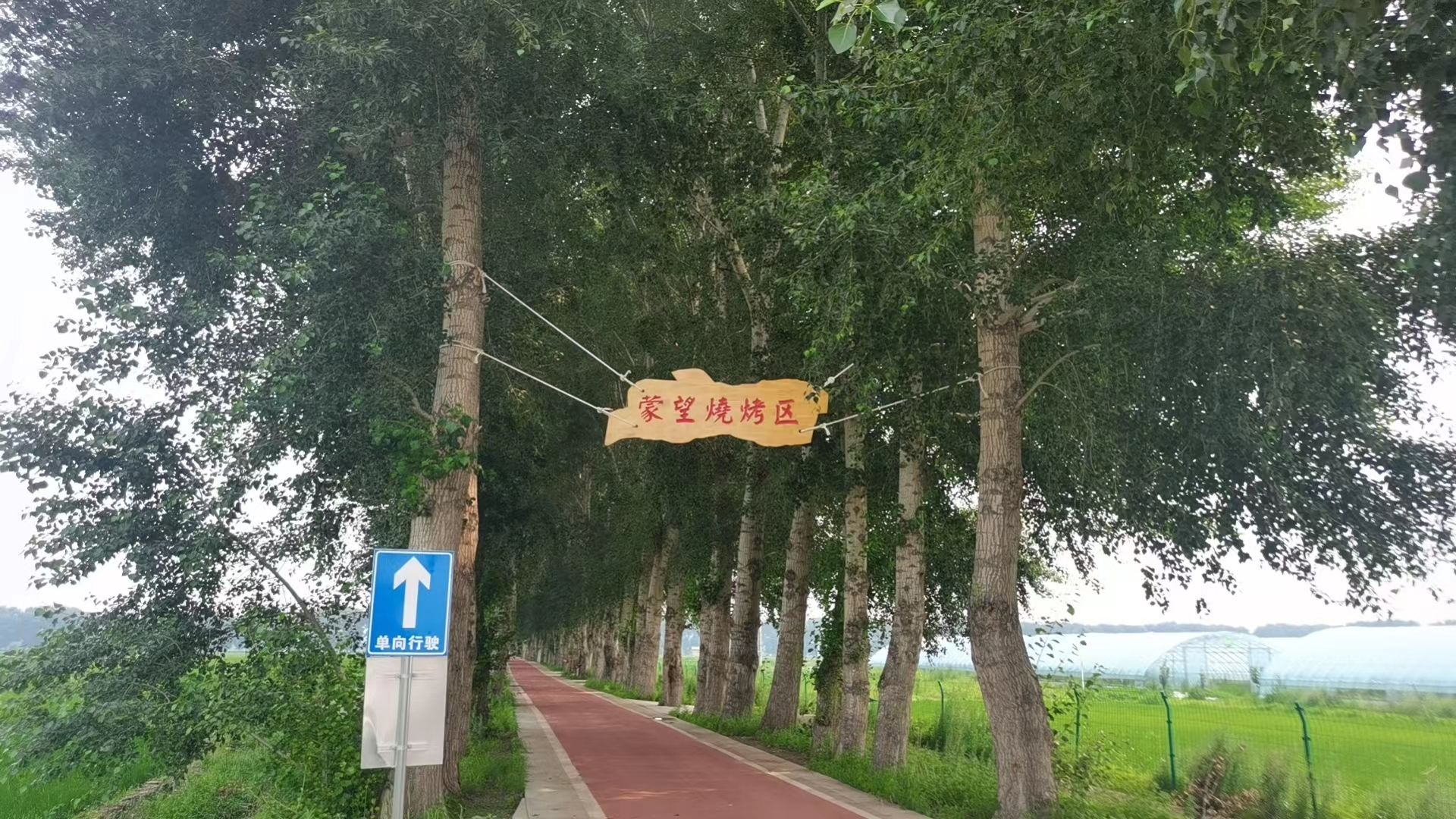 蒙望敖包山稻田公园旅行图片 2
