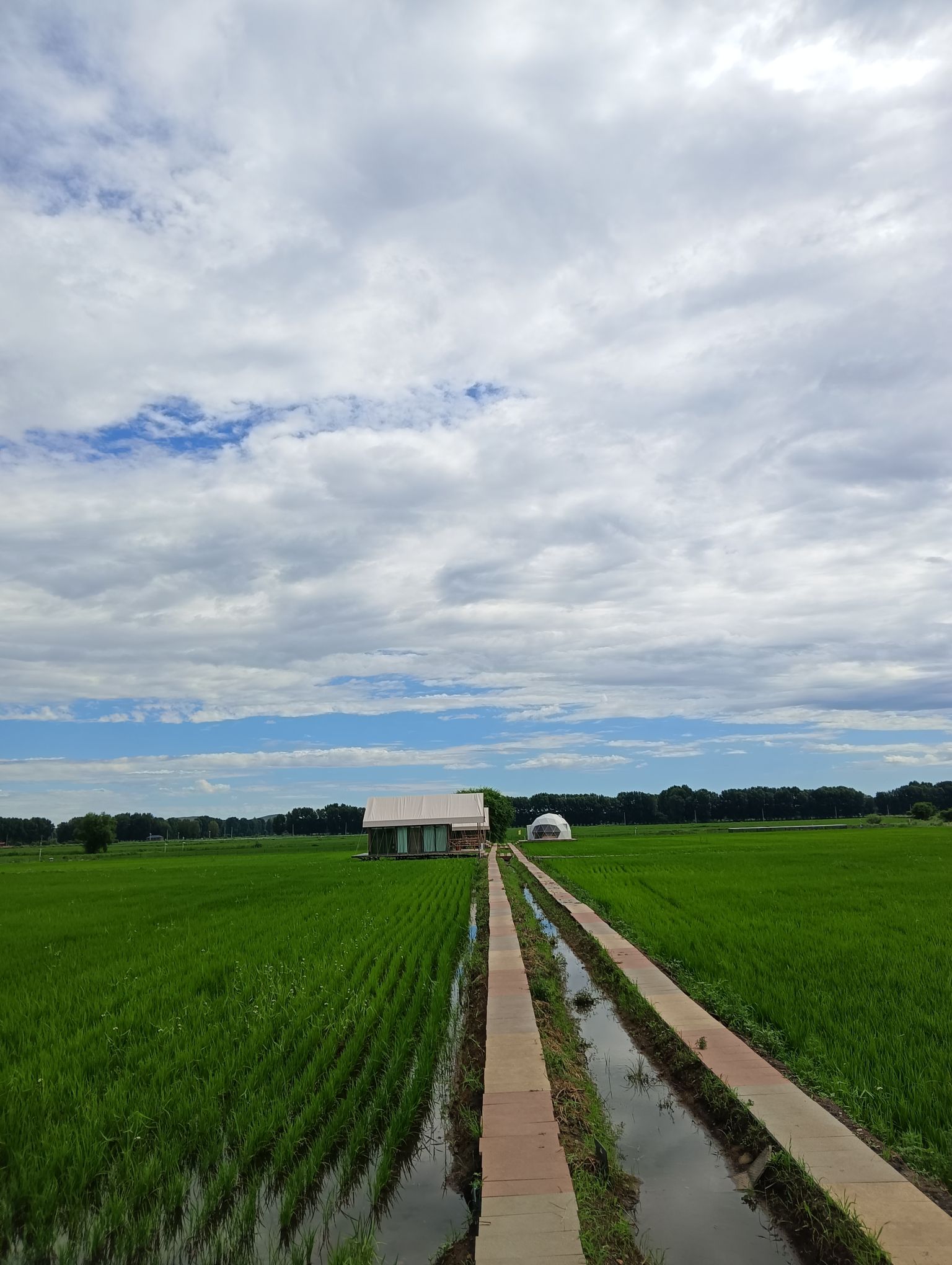 蒙望敖包山稻田公园