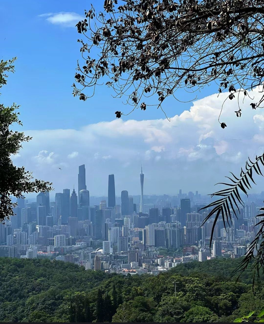 白云山 景点照片
