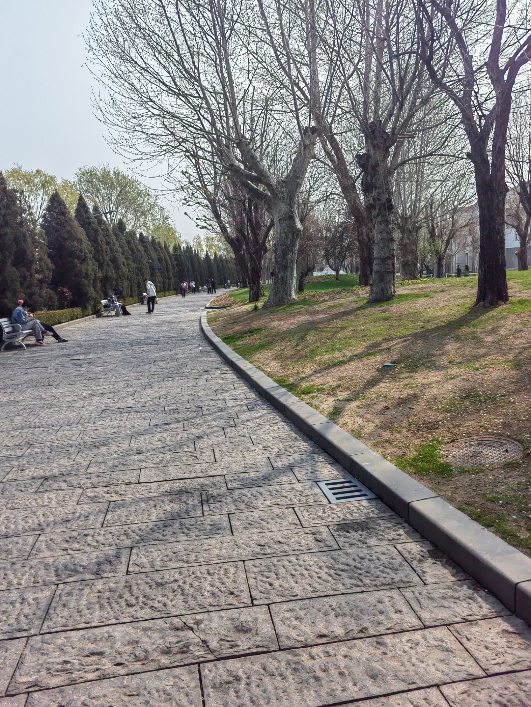 京顺园公园旅行图片 1