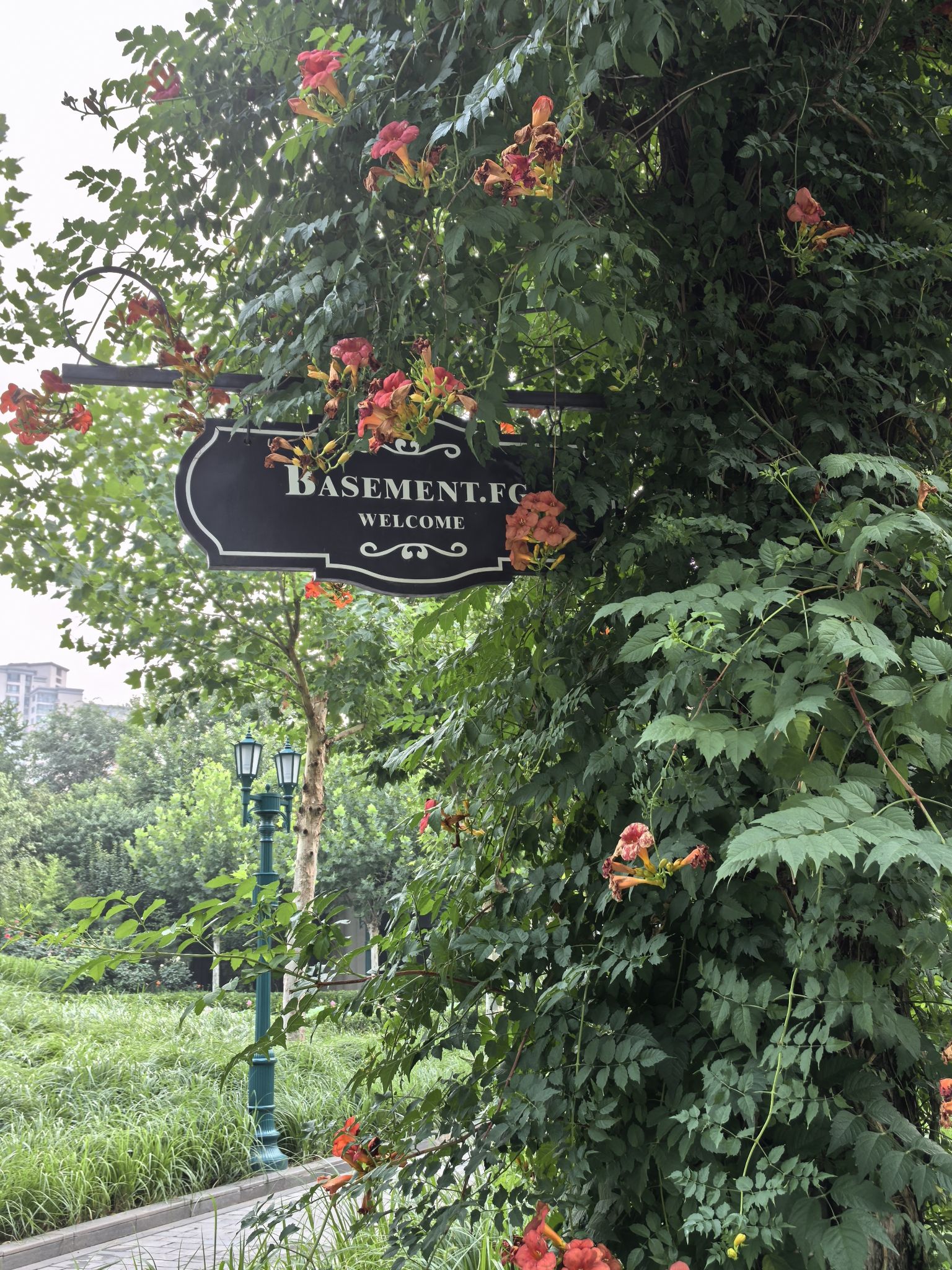 京顺园公园旅行图片 2