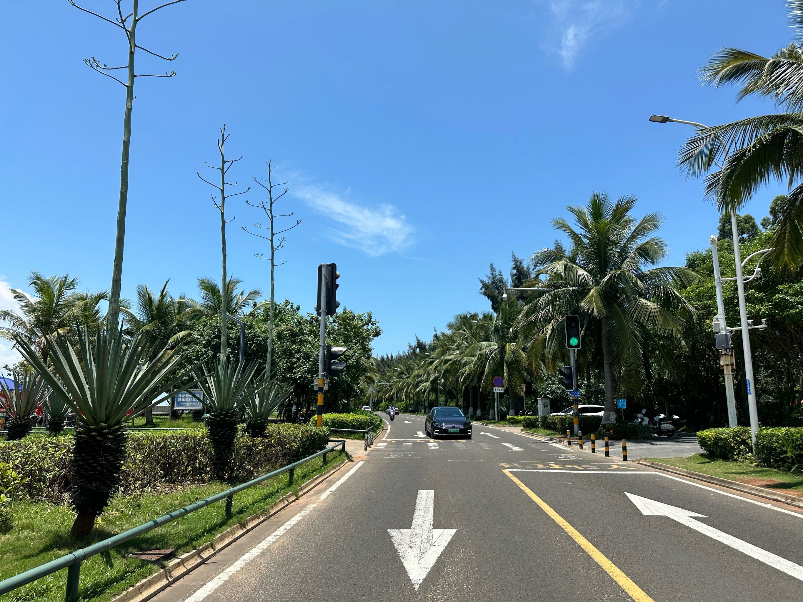 白沙门沙滩旅行图片 3