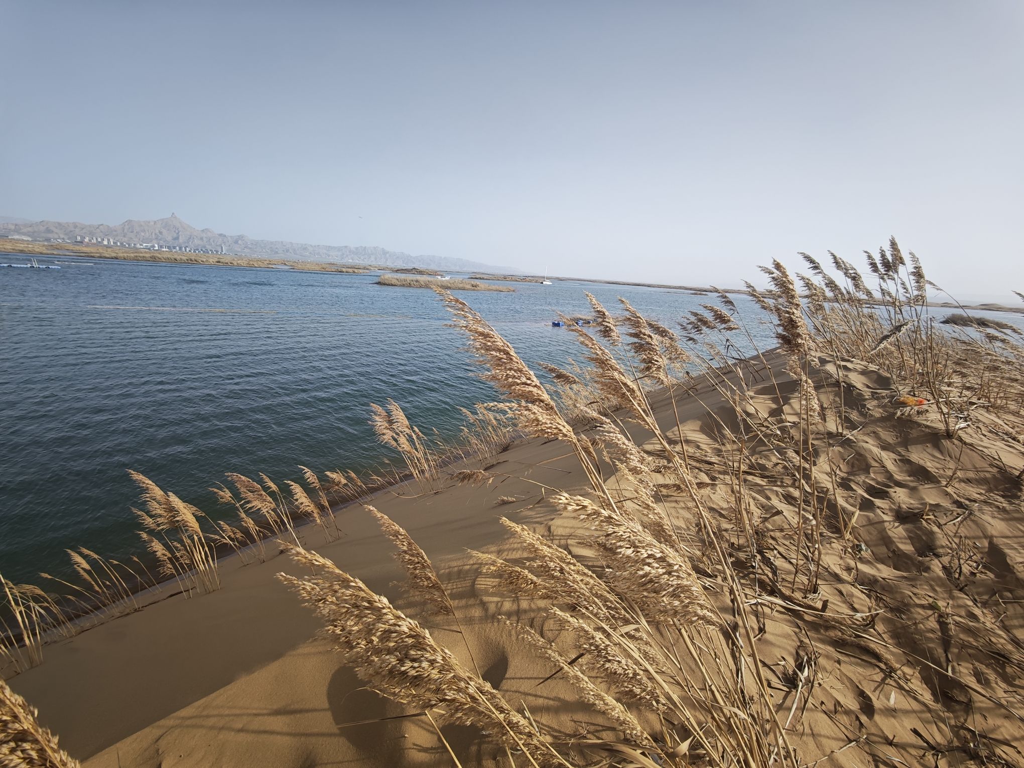 乌海湖